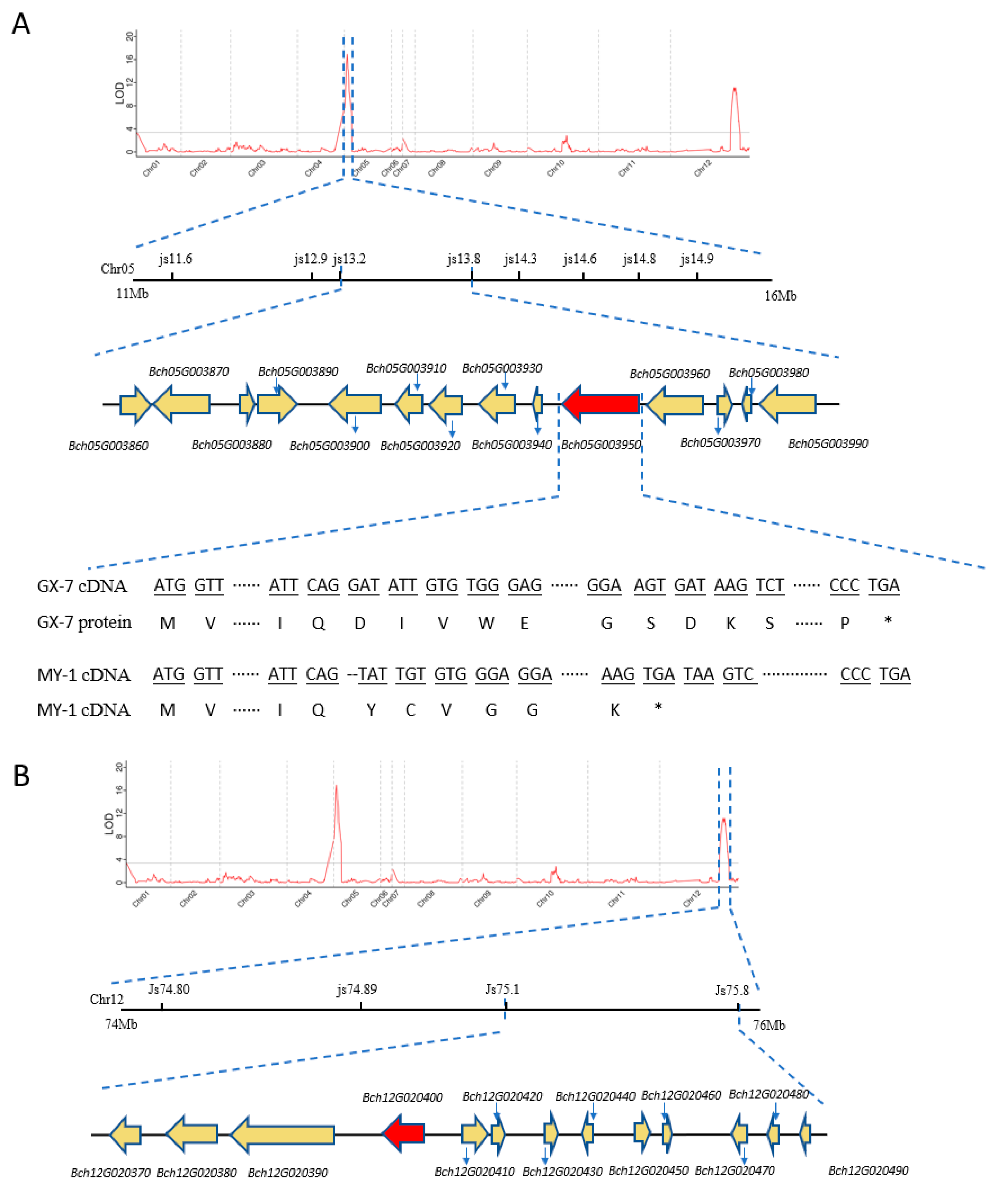 Plants 13 01804 g003