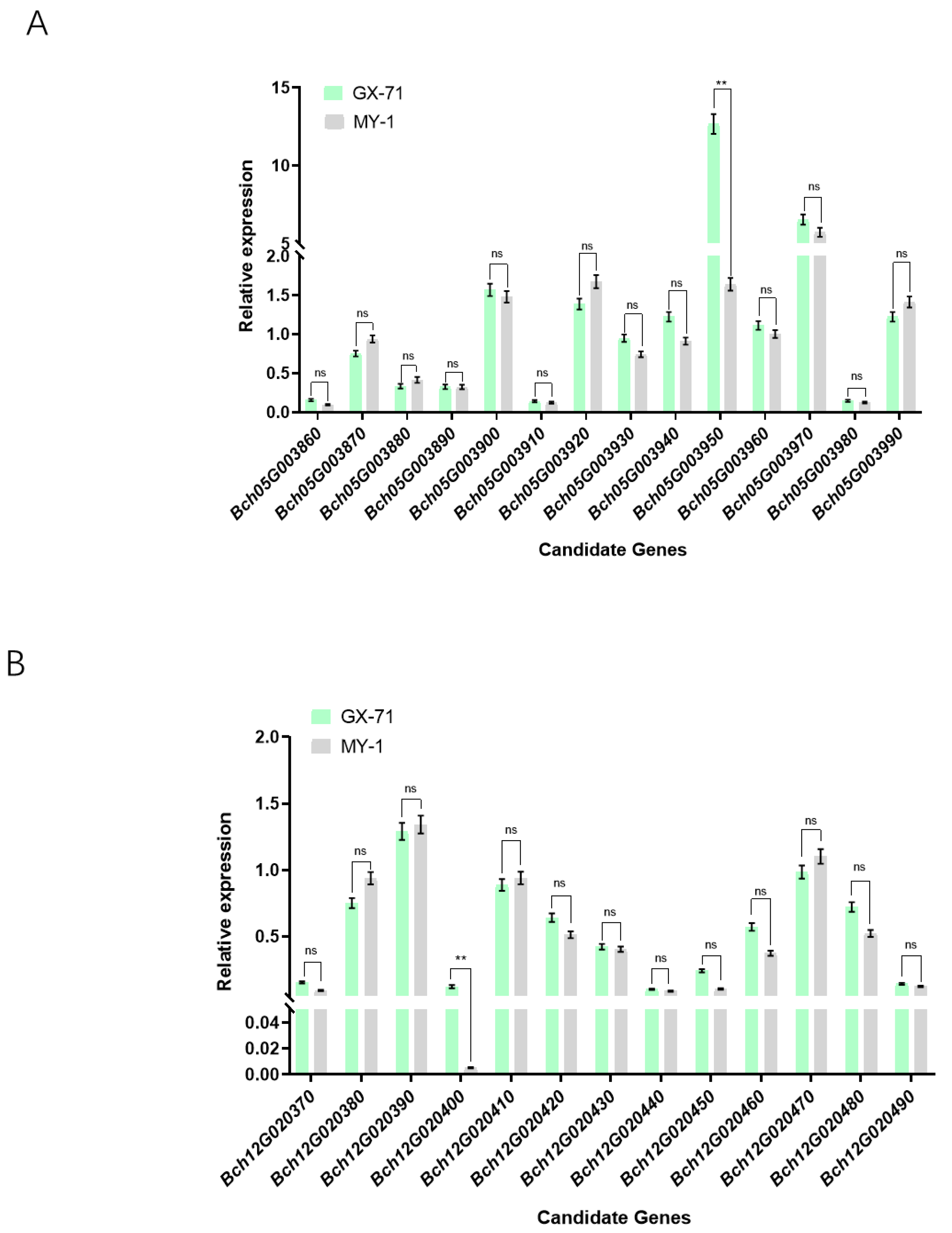 Plants 13 01804 g004