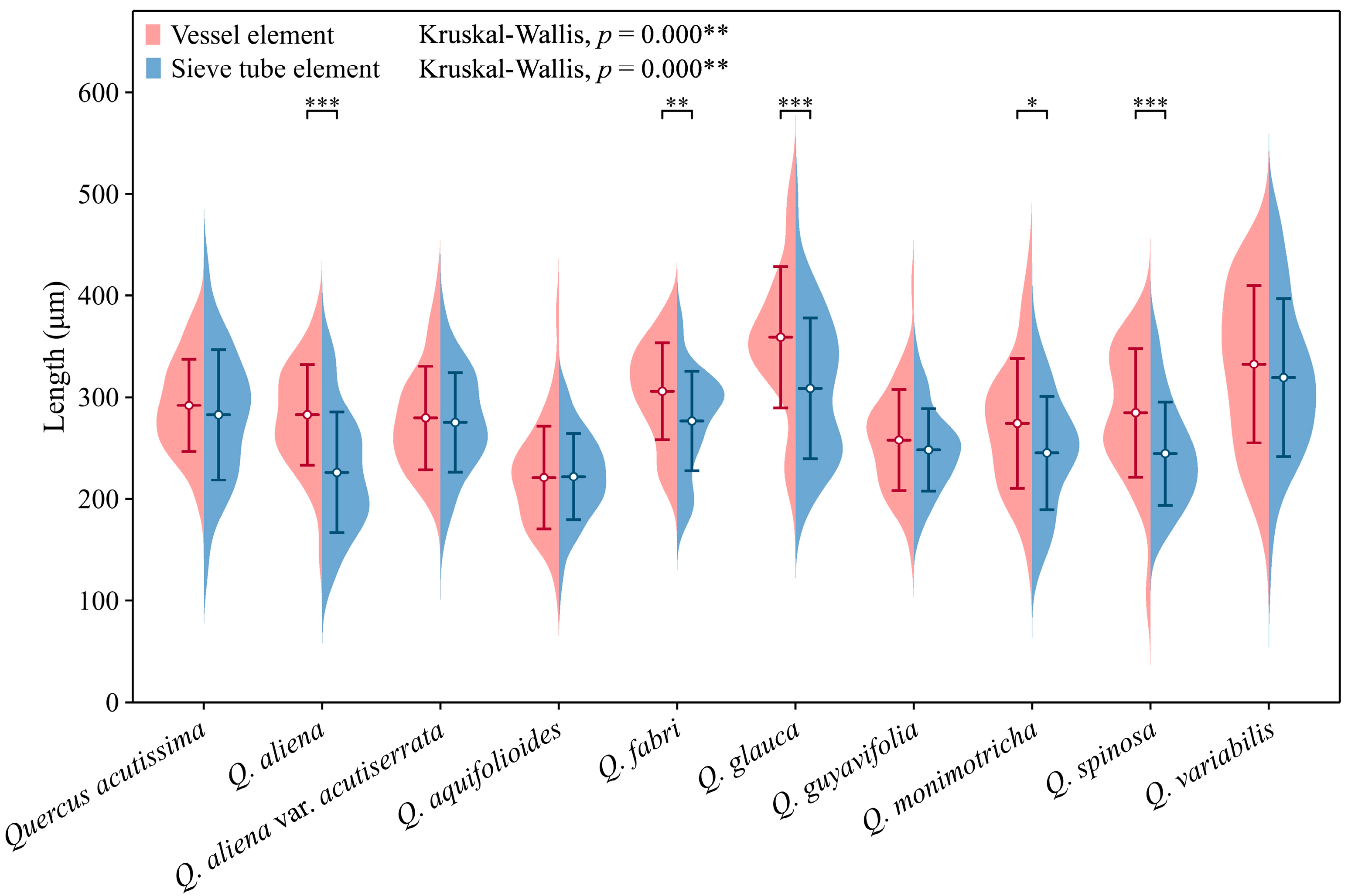 Plants 13 01871 g002 Plants 13 01871 g002