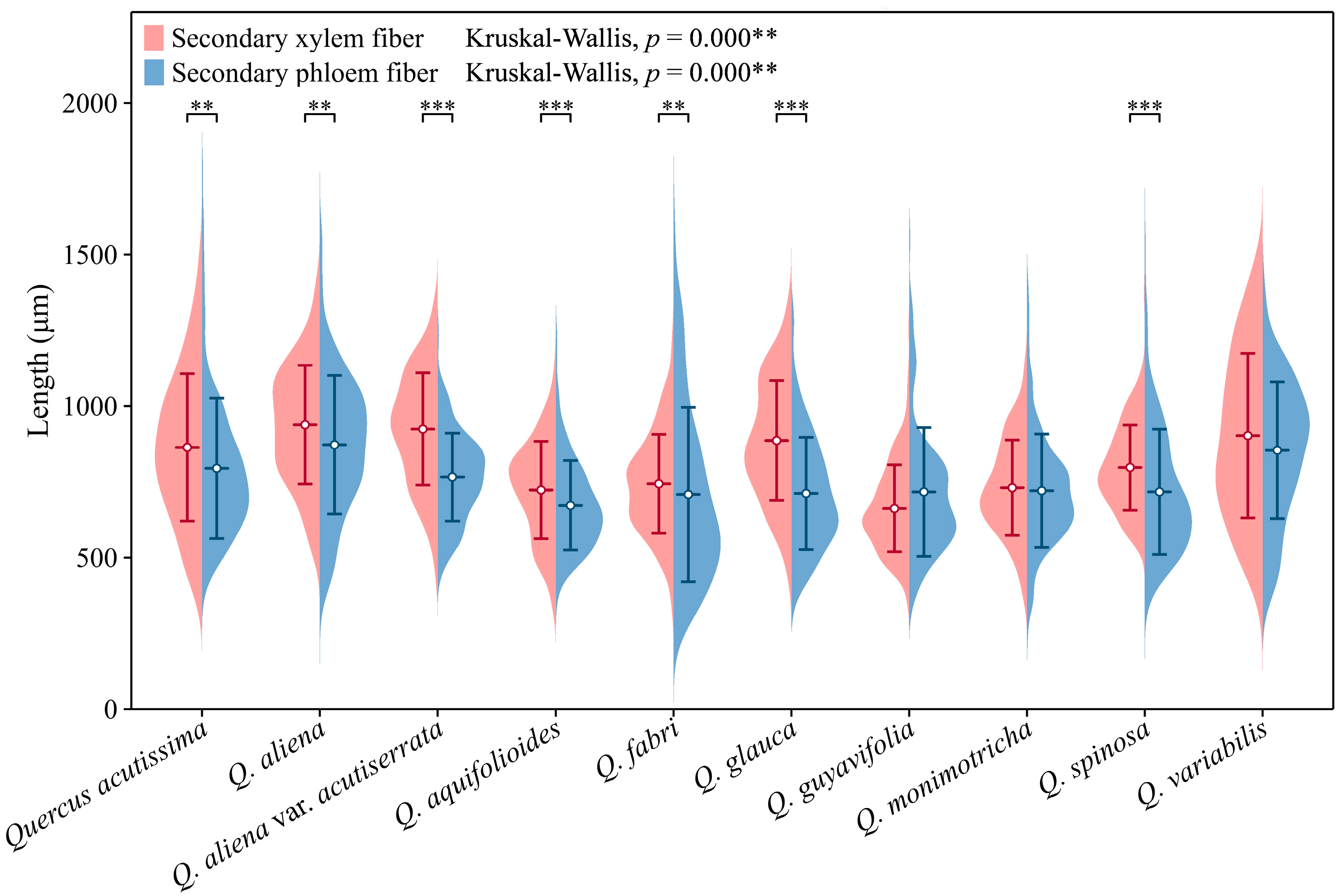 Plants 13 01871 g010 Plants 13 01871 g010