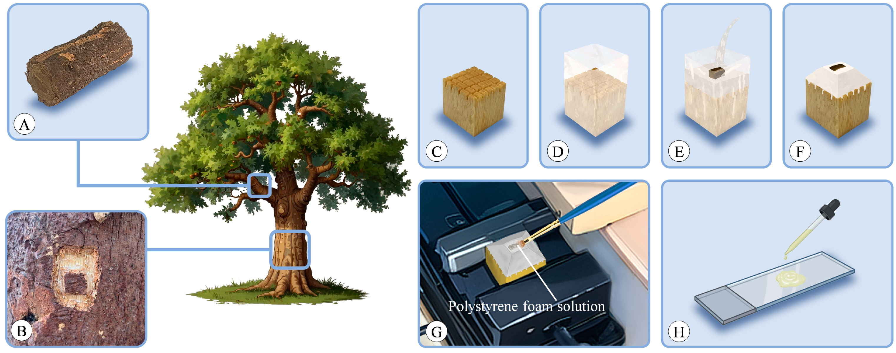 Plants 13 01871 g013 Plants 13 01871 g013