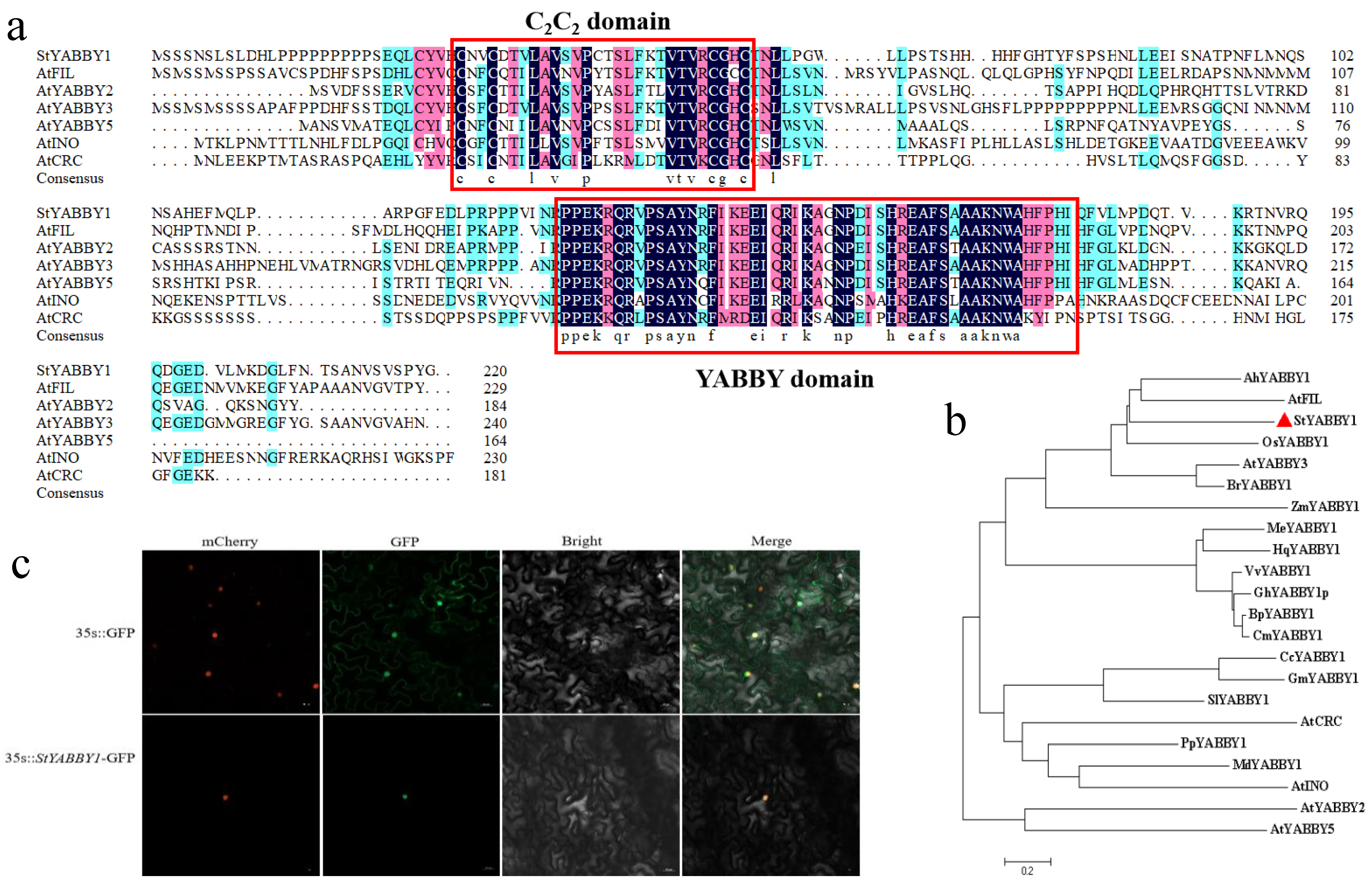 Plants 13 01879 g005