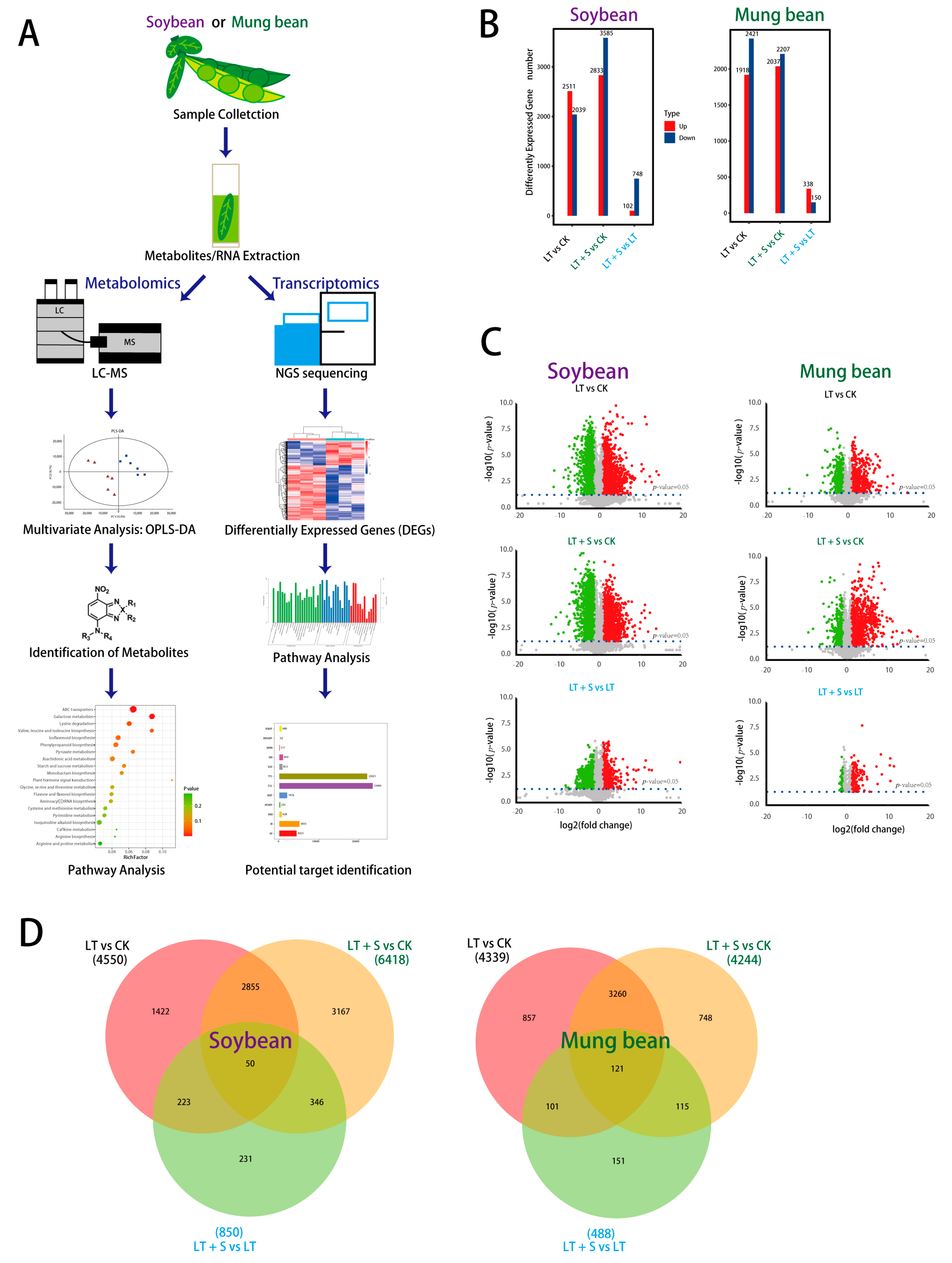 Plants 13 01885 g001