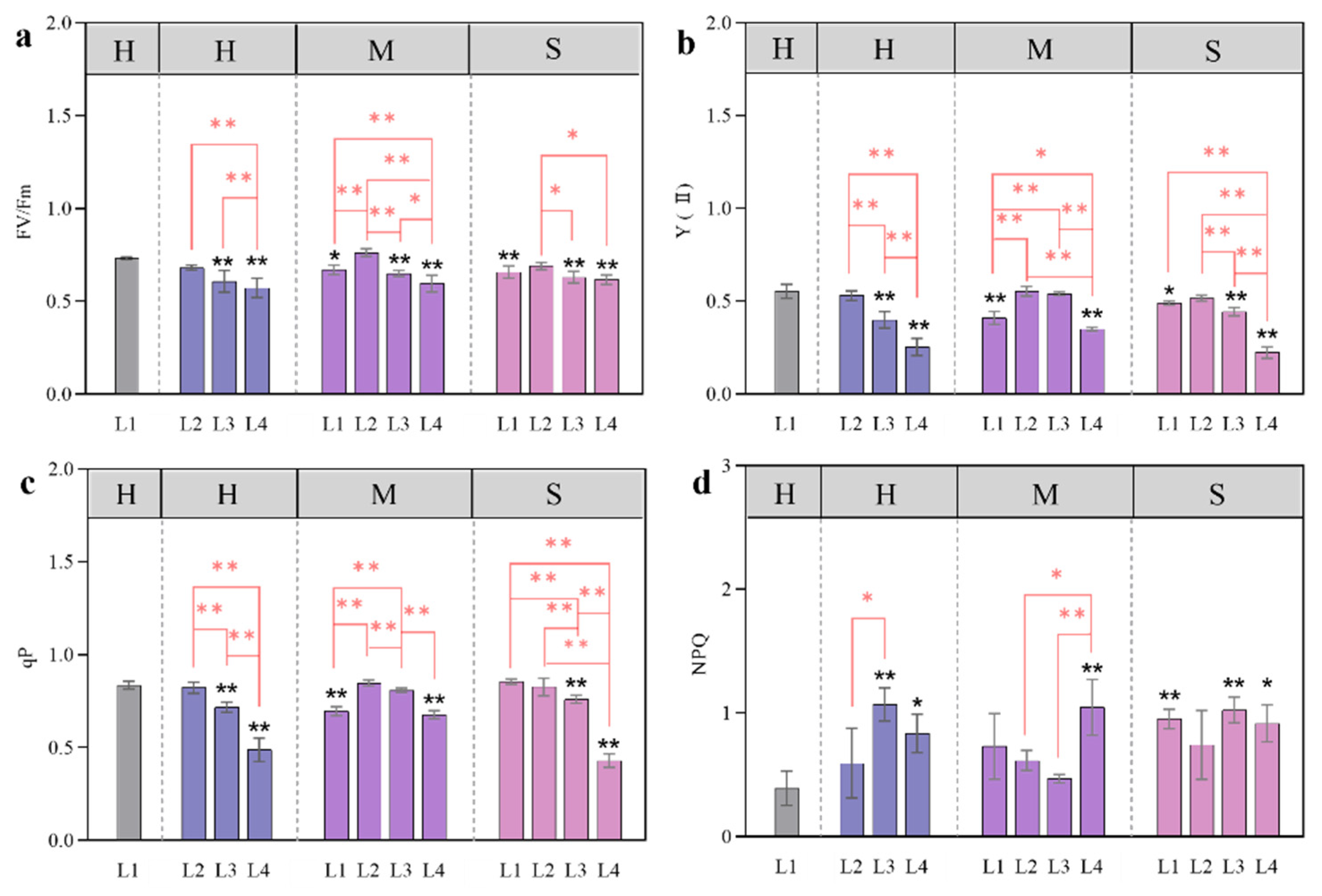 Plants 13 01891 g007