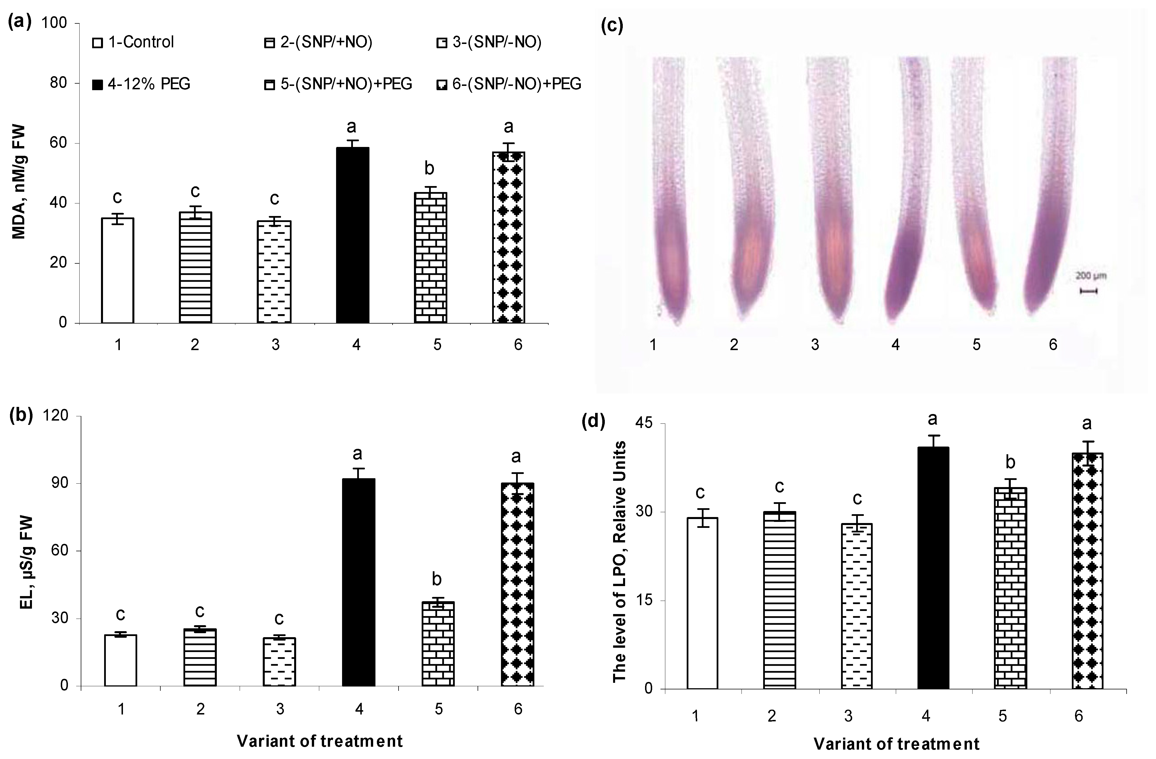 Plants 13 01895 g005