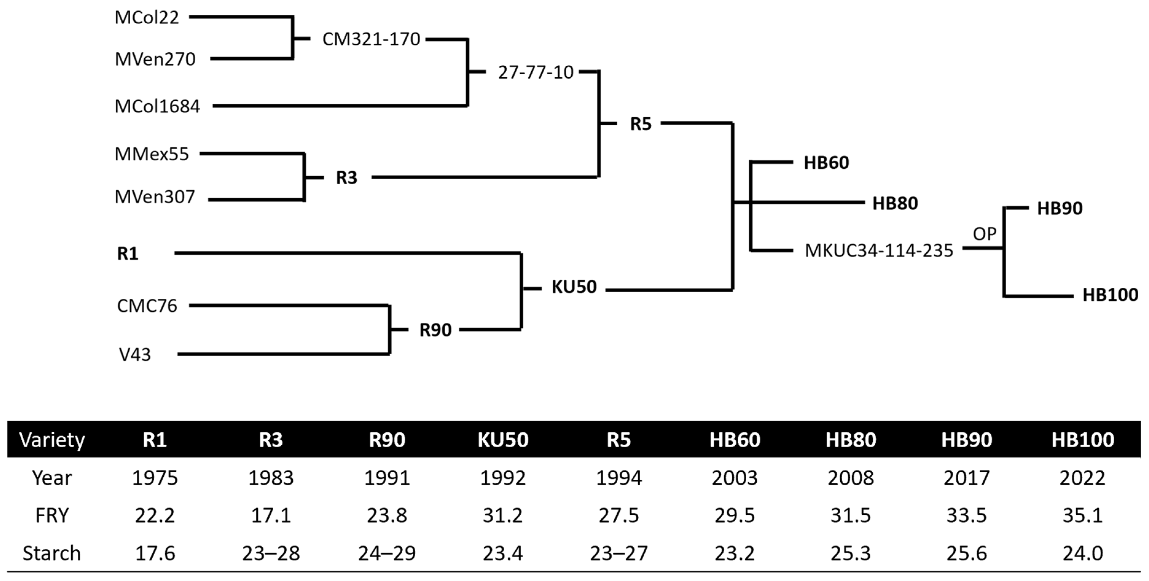 Plants 13 01899 g003