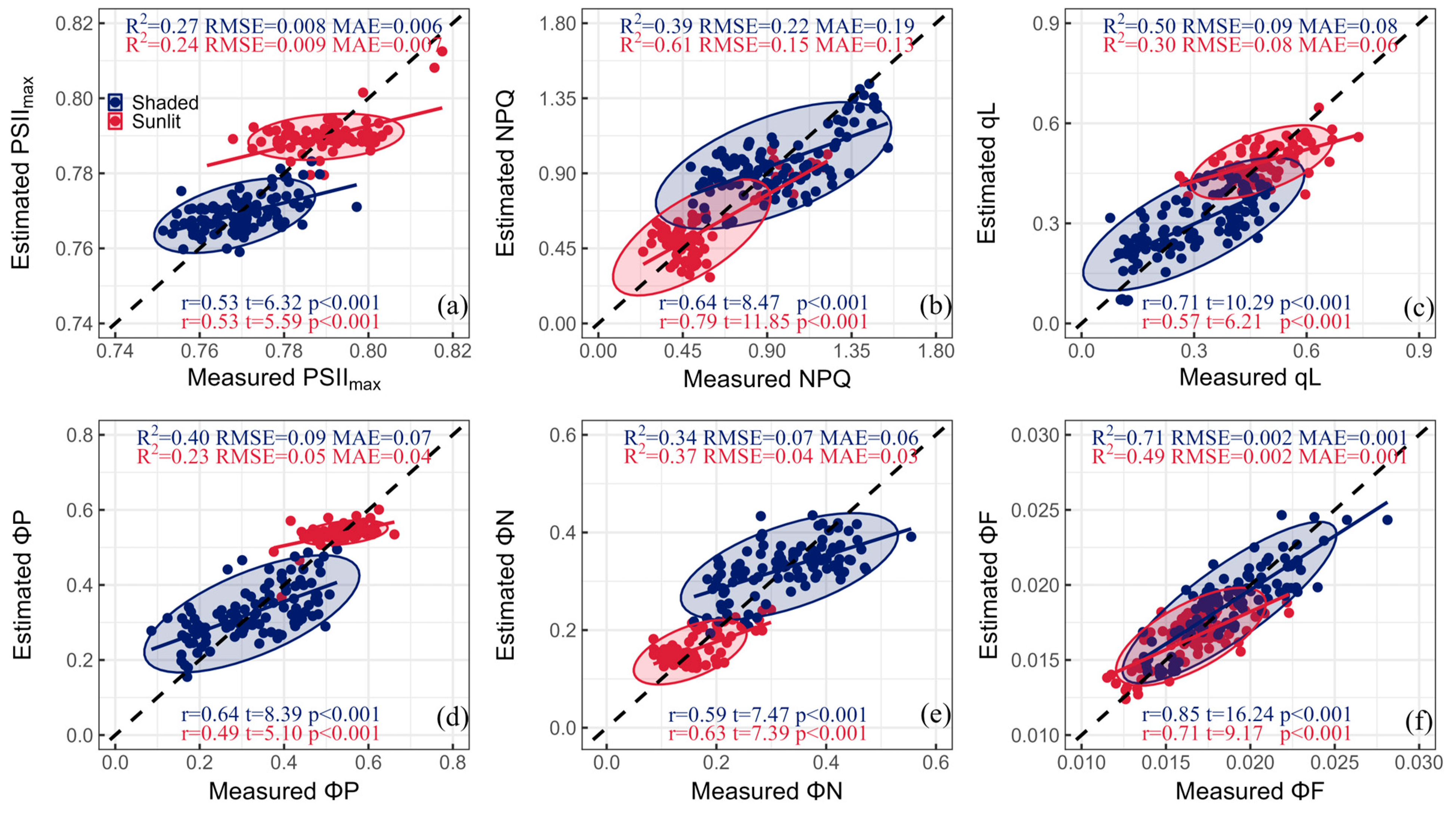 Plants 13 01923 g006