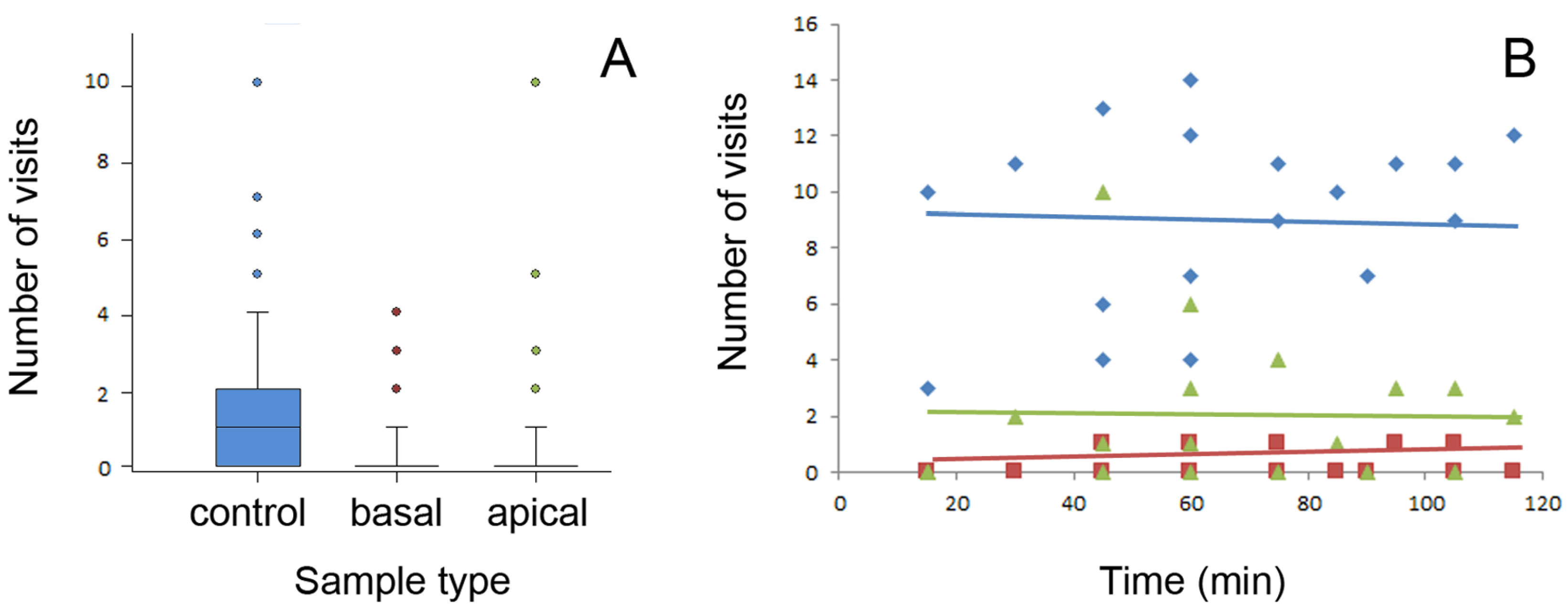 Plants 13 01932 g004 Plants 13 01932 g004
