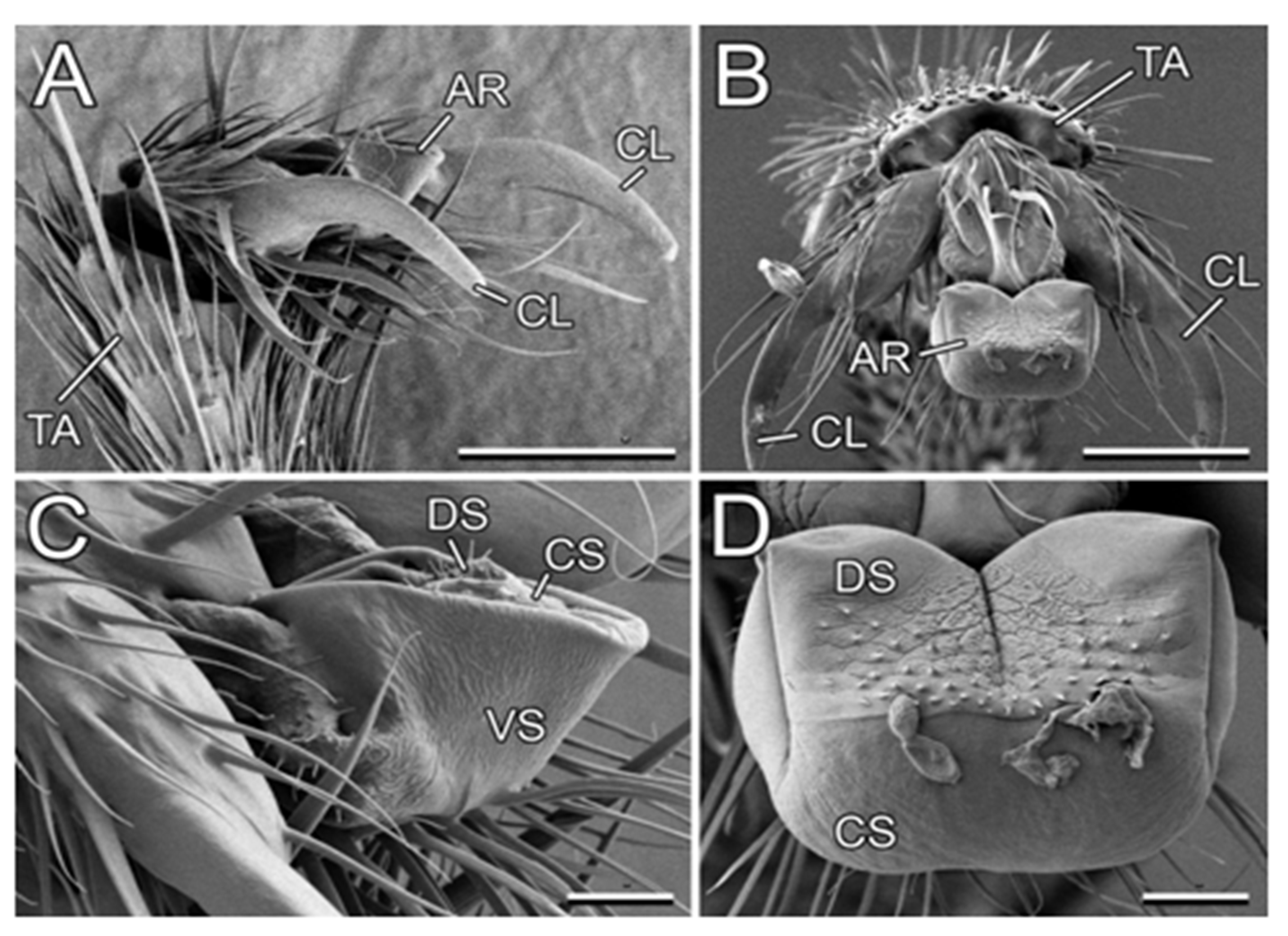 Plants 13 01932 g007 Plants 13 01932 g007