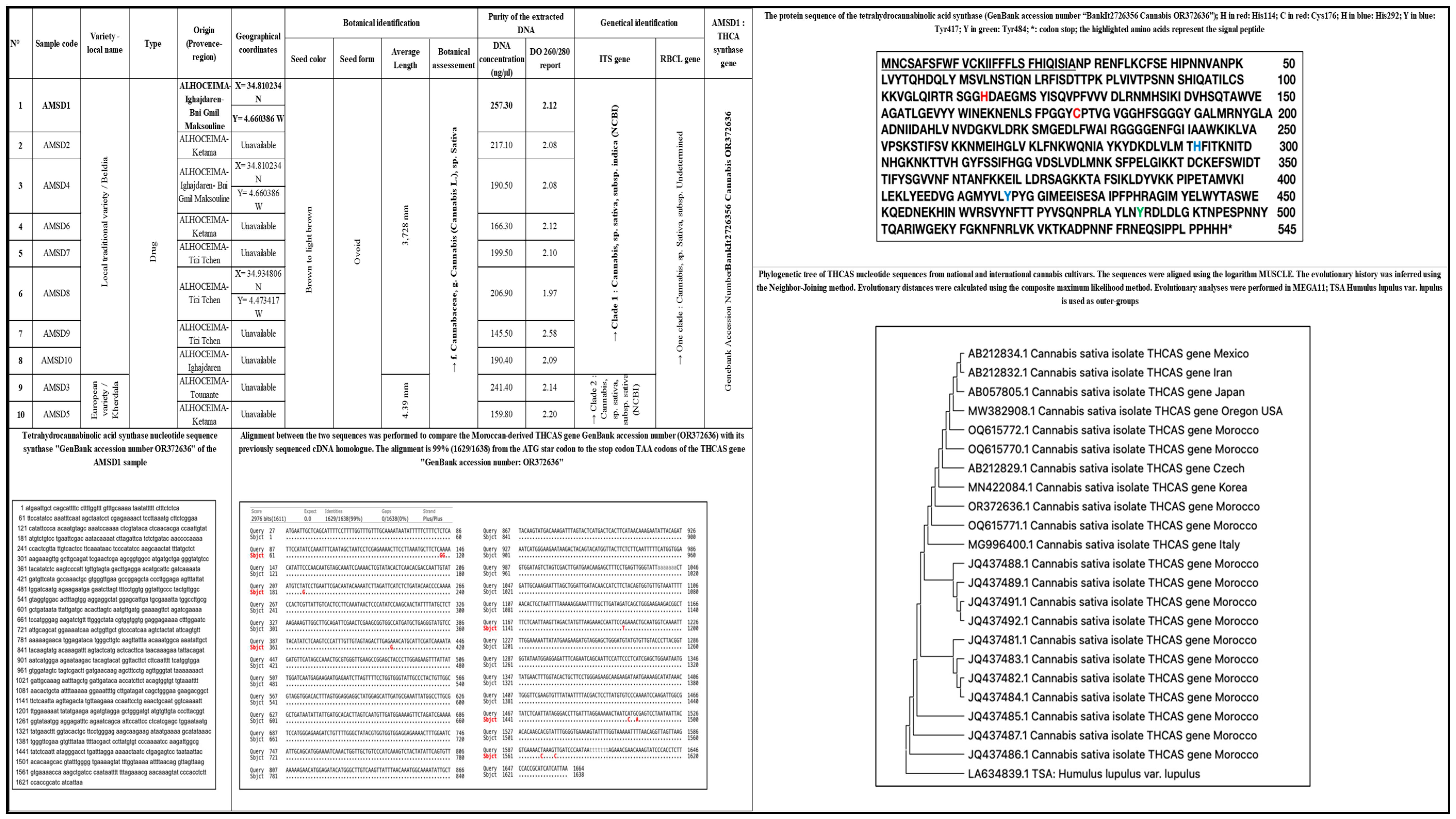 Plants 13 01938 g001