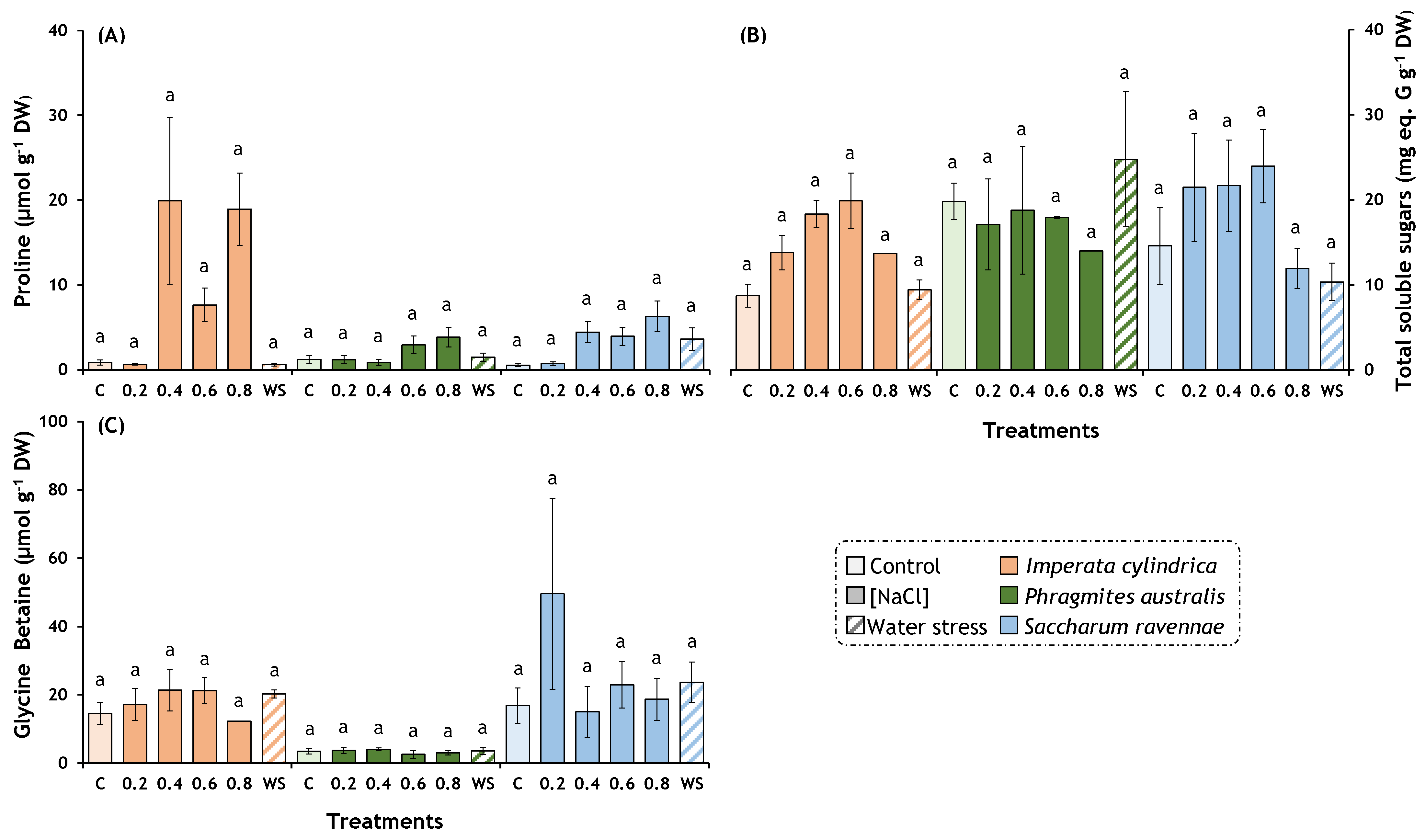 Plants 13 01939 g004