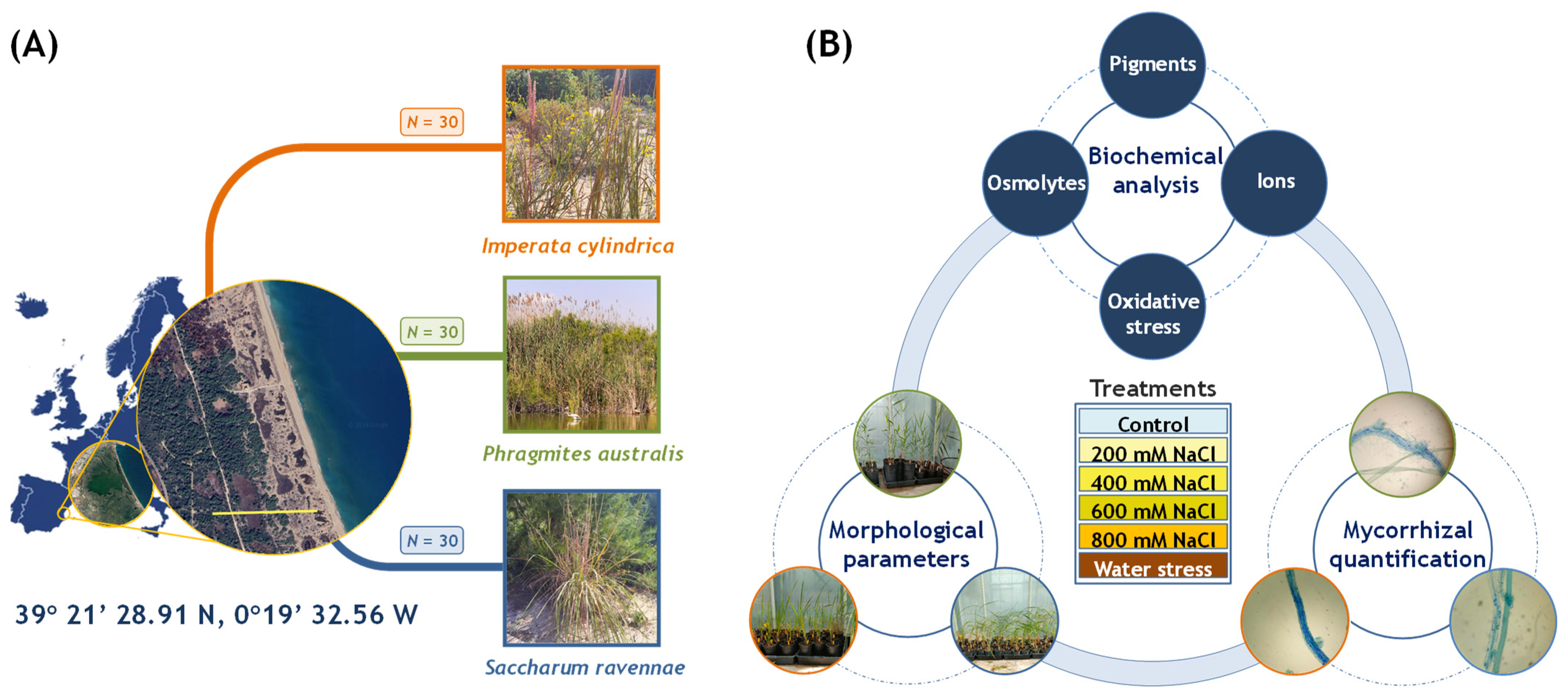 Plants 13 01939 g010