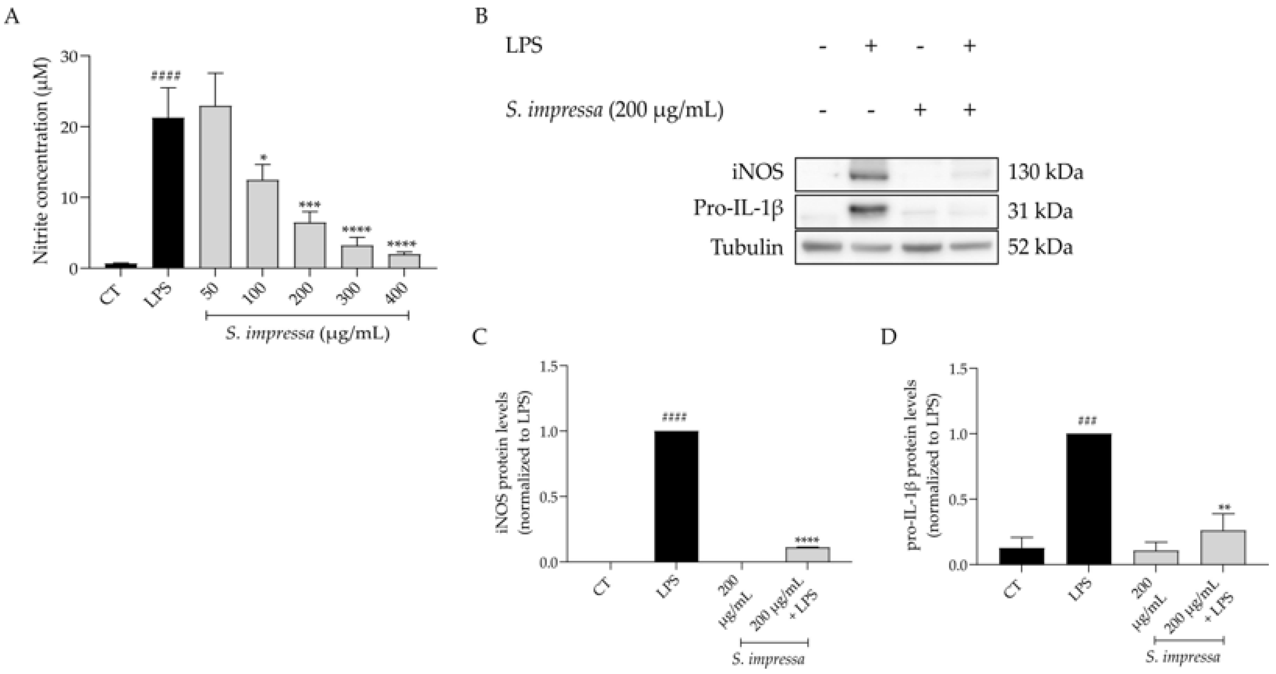 Plants 13 01943 g003