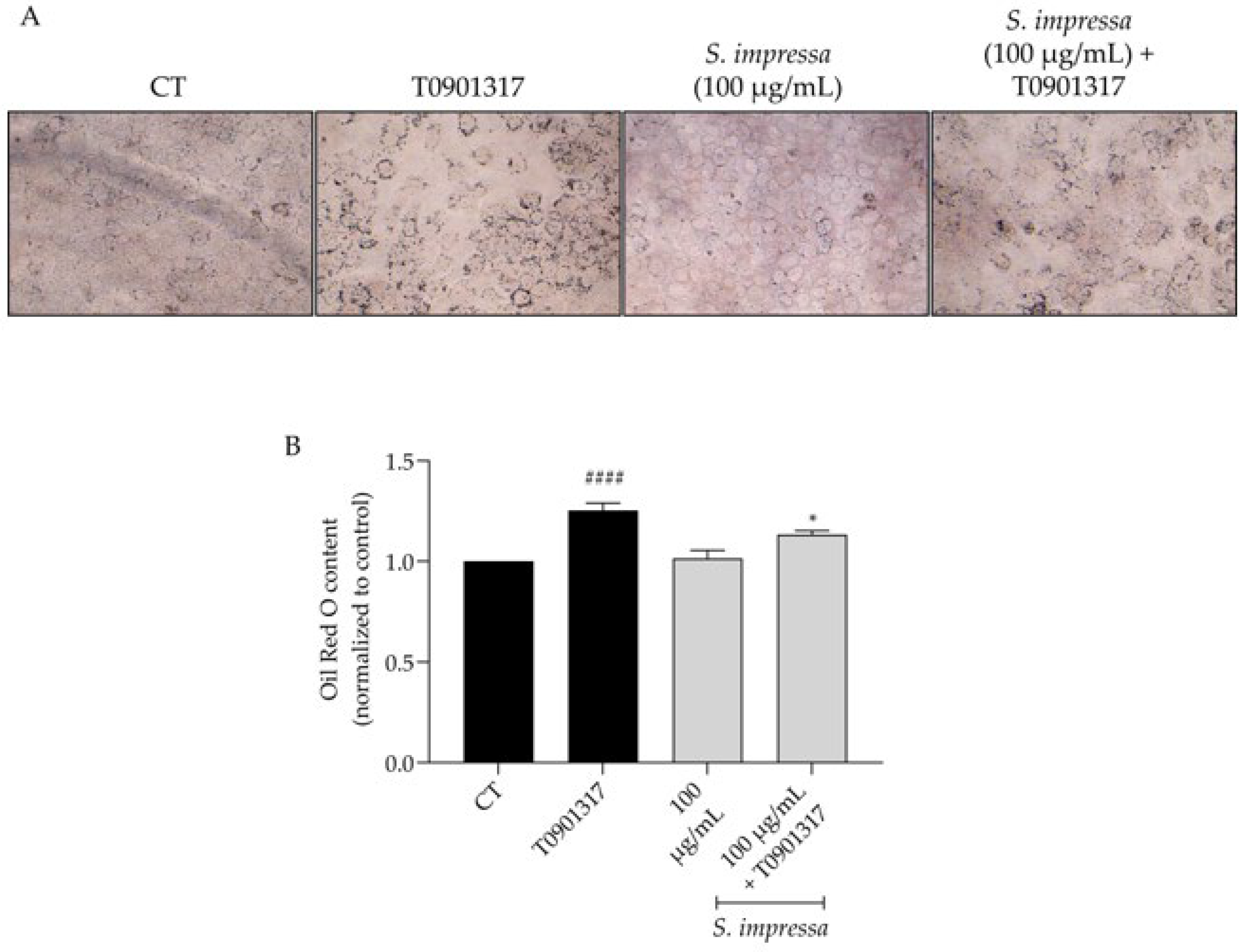 Plants 13 01943 g005