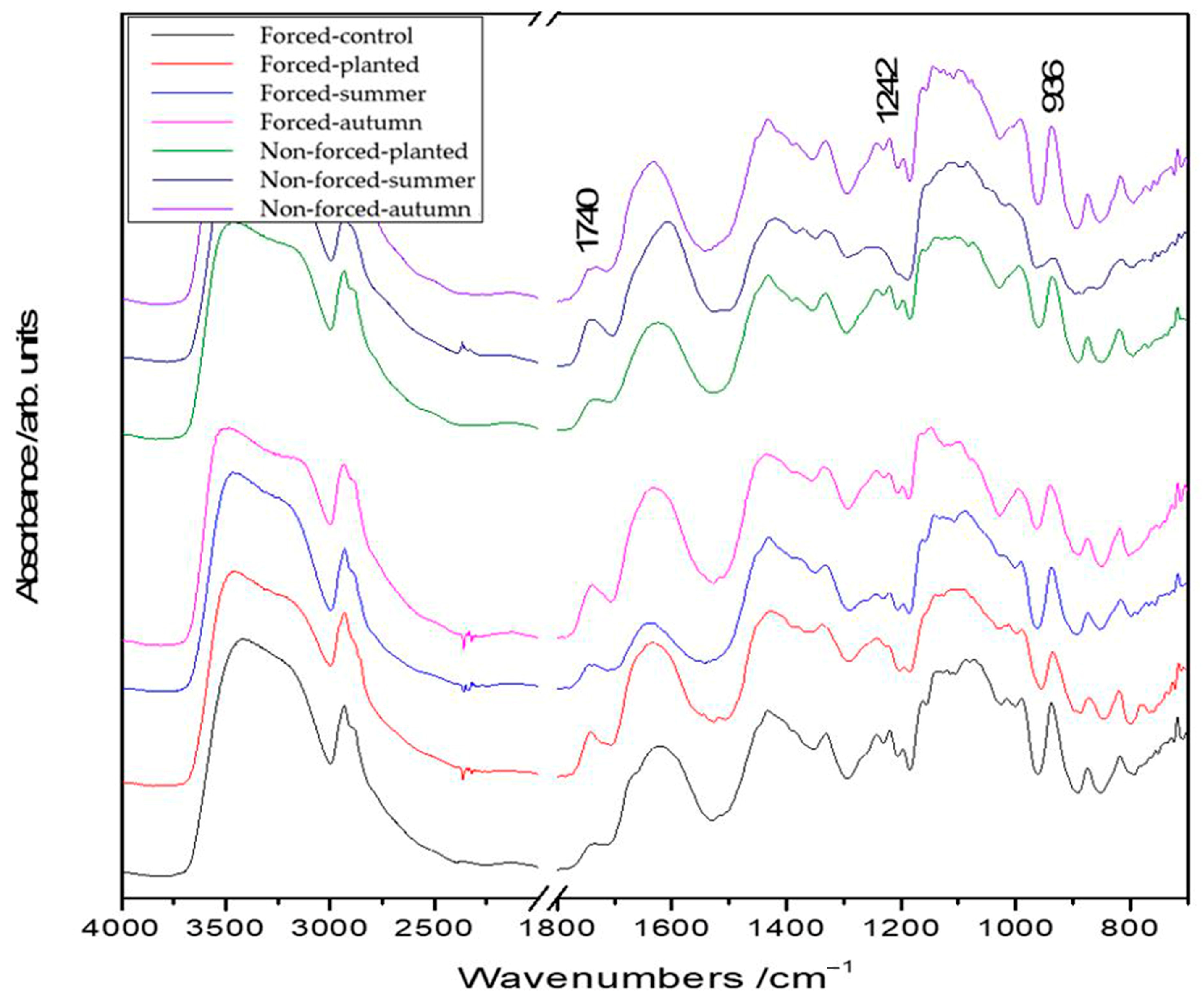 Plants 13 01955 g001