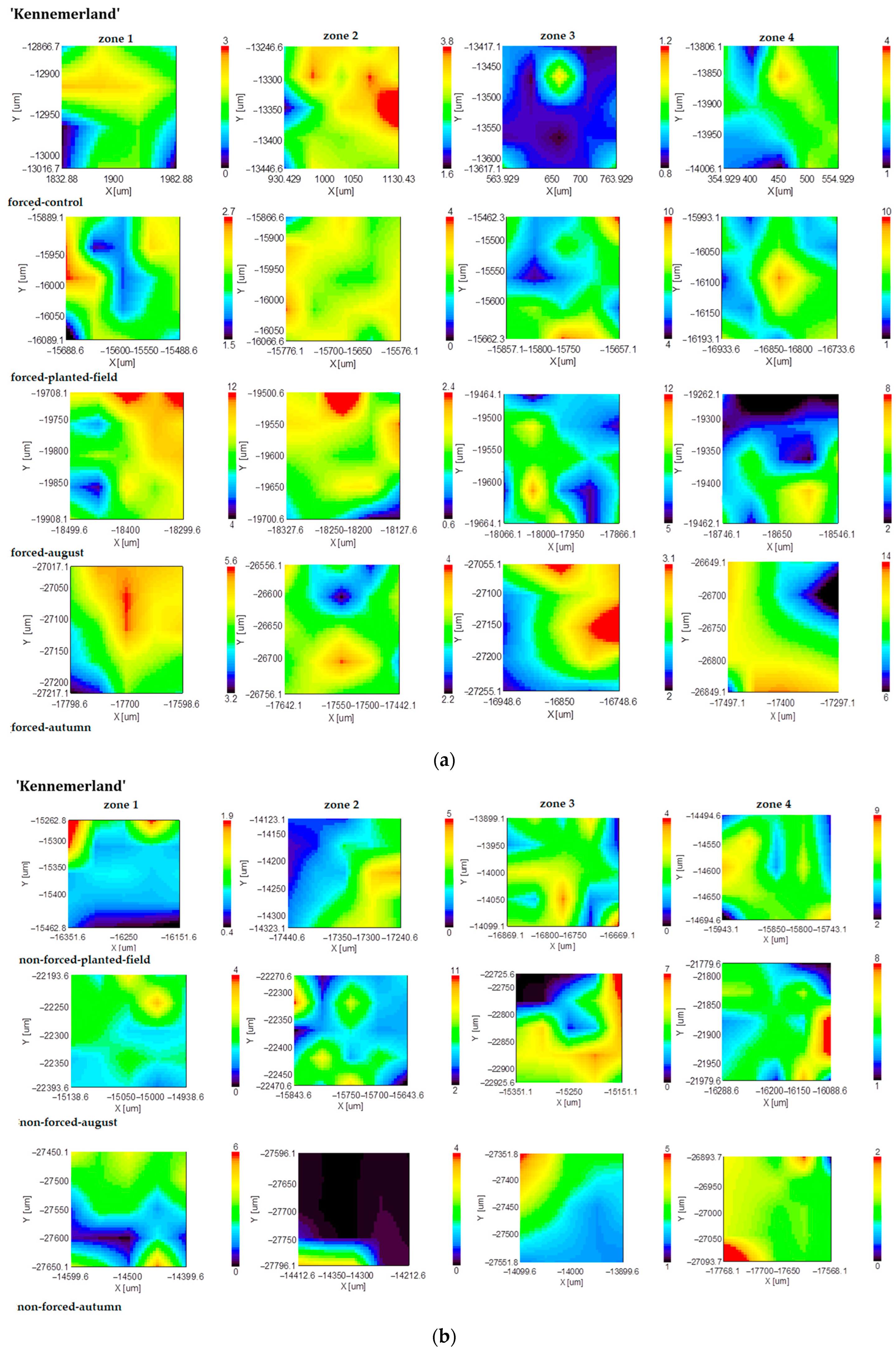 Plants 13 01955 g003