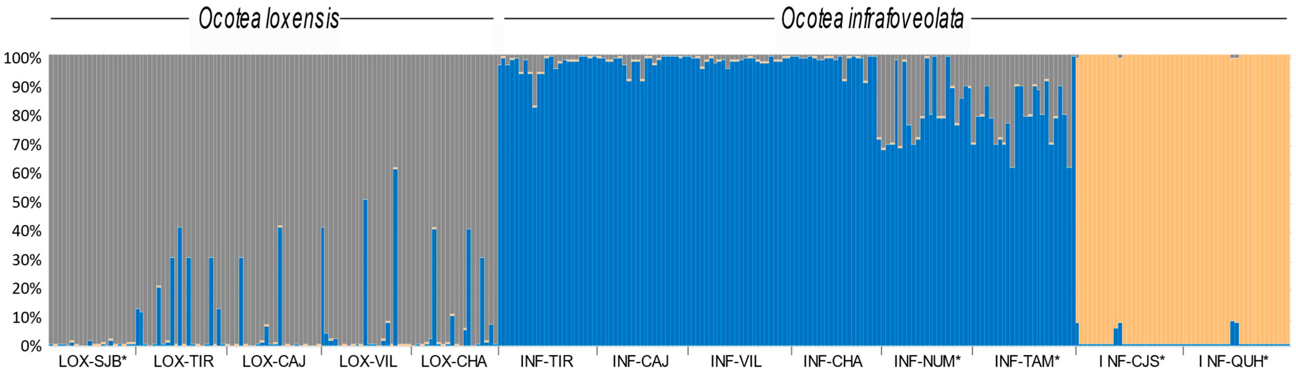 Plants 13 01956 g003