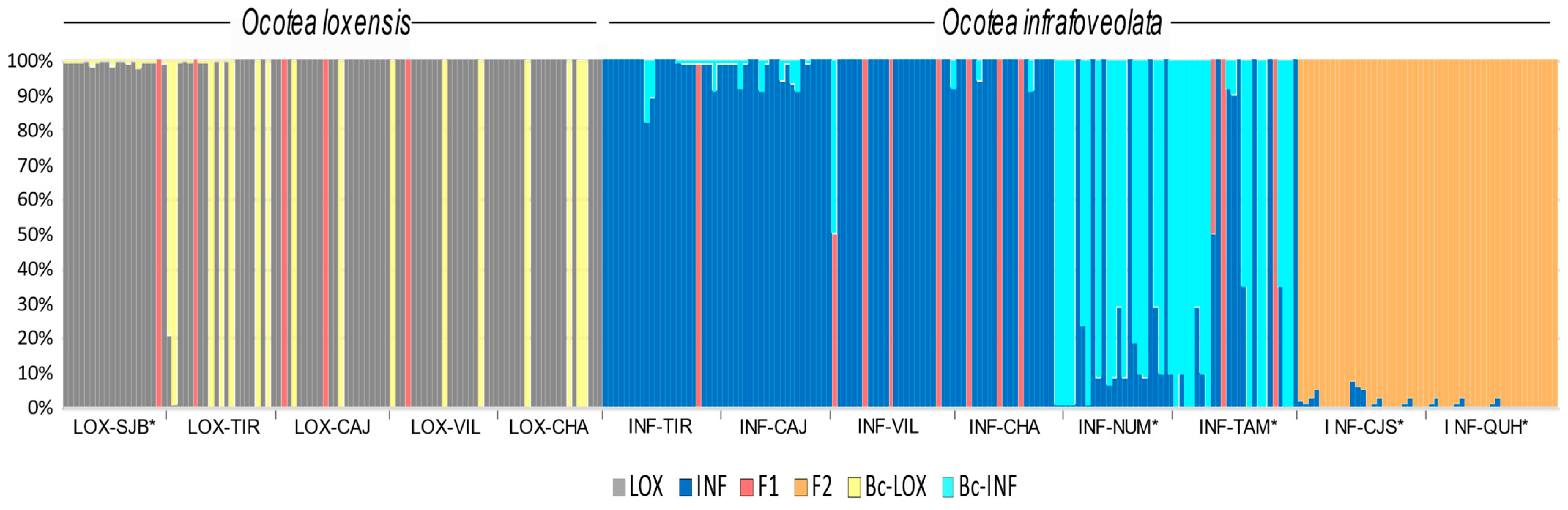 Plants 13 01956 g004