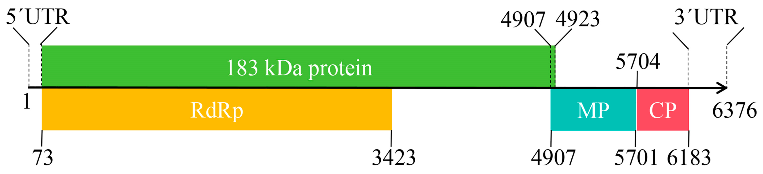 Plants 13 01965 g002