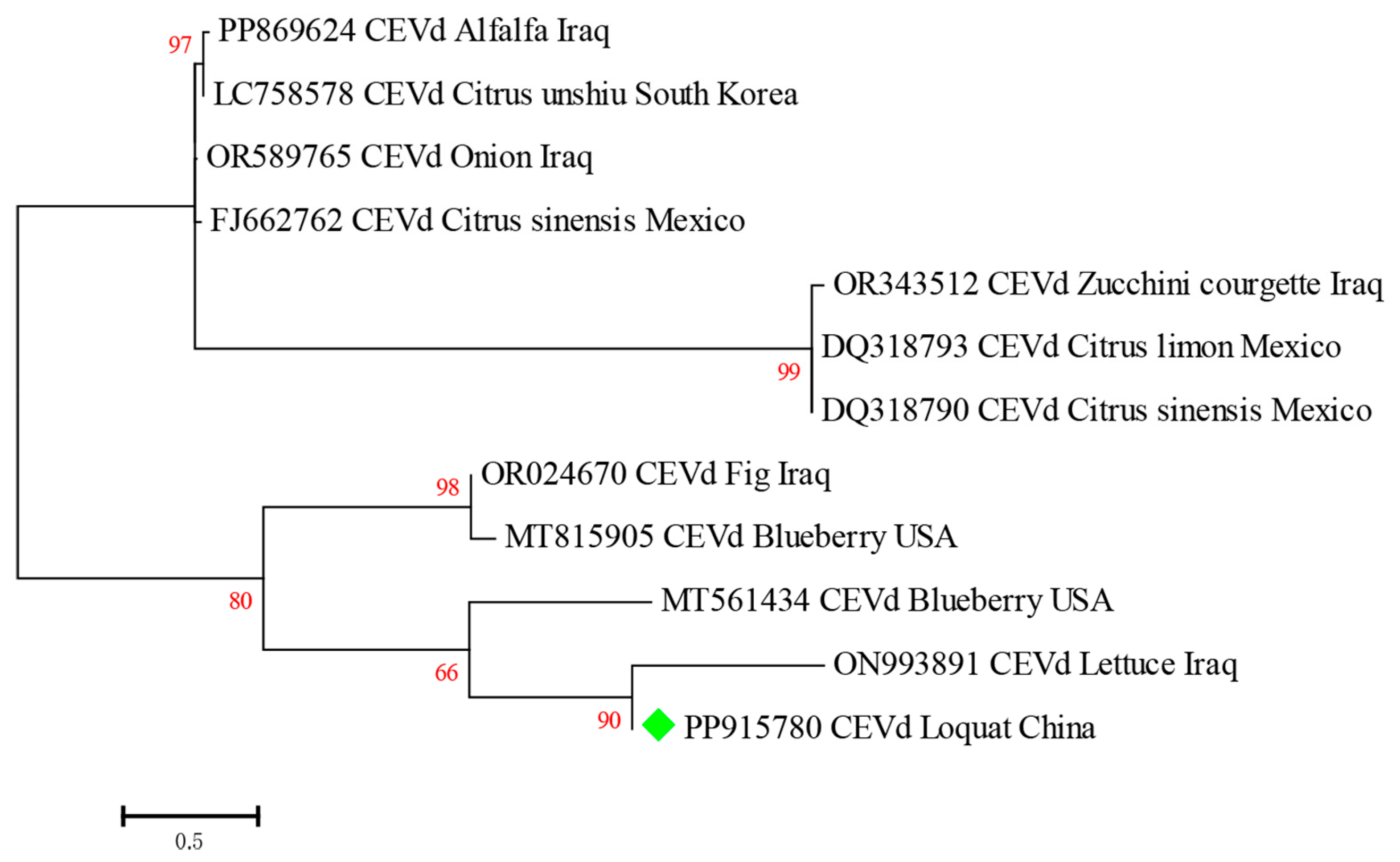 Plants 13 01965 g006