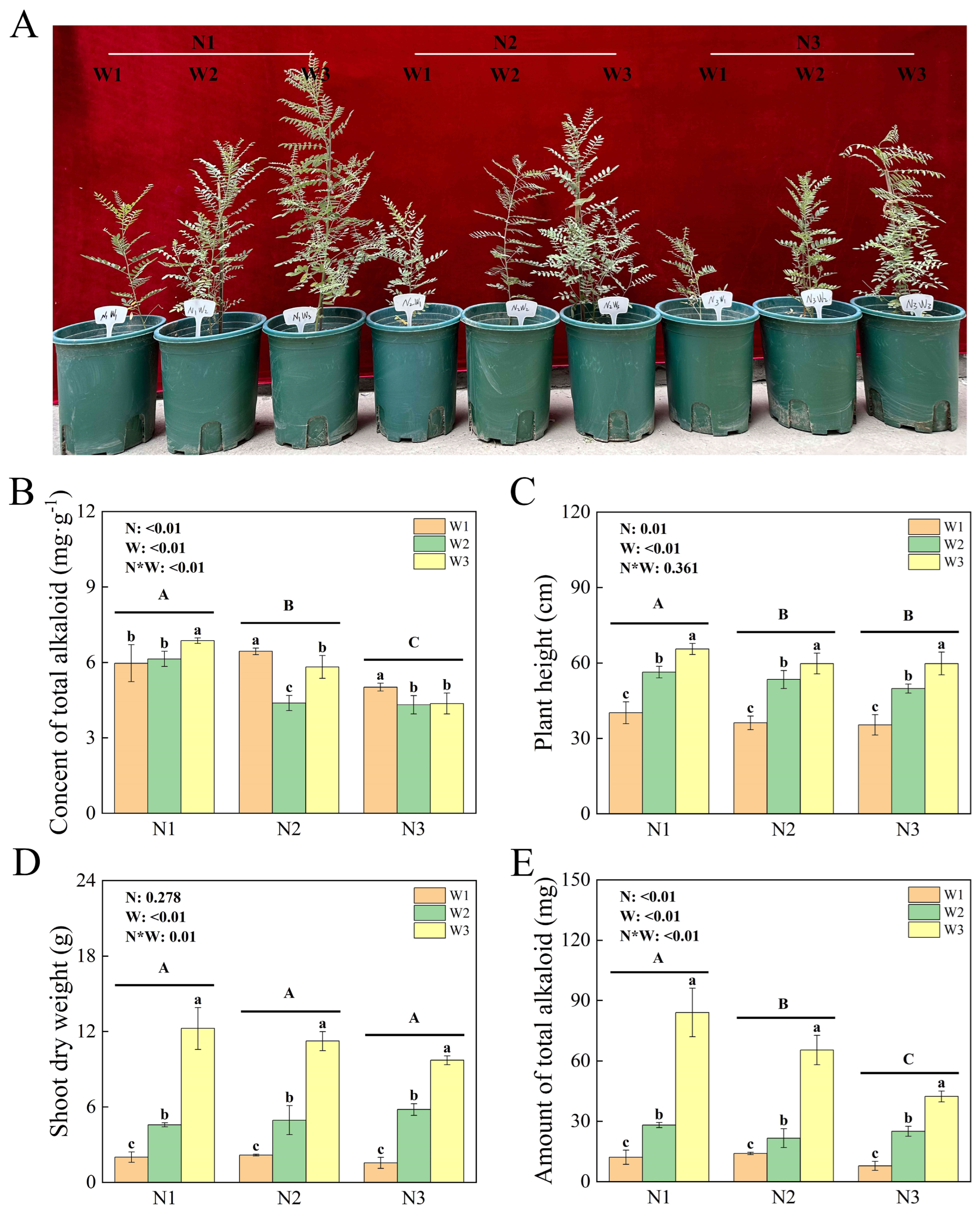 Plants 13 01970 g001