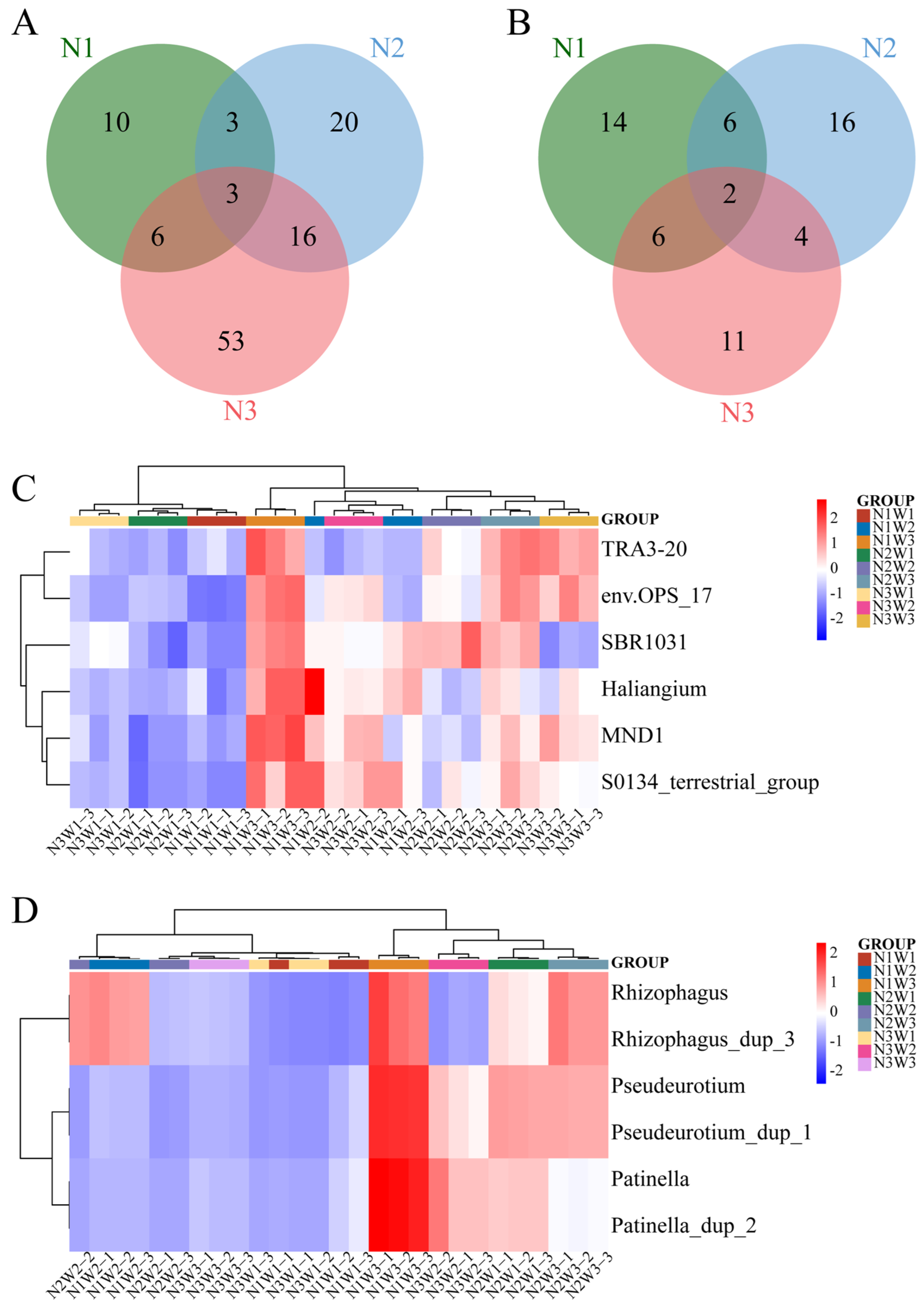 Plants 13 01970 g004