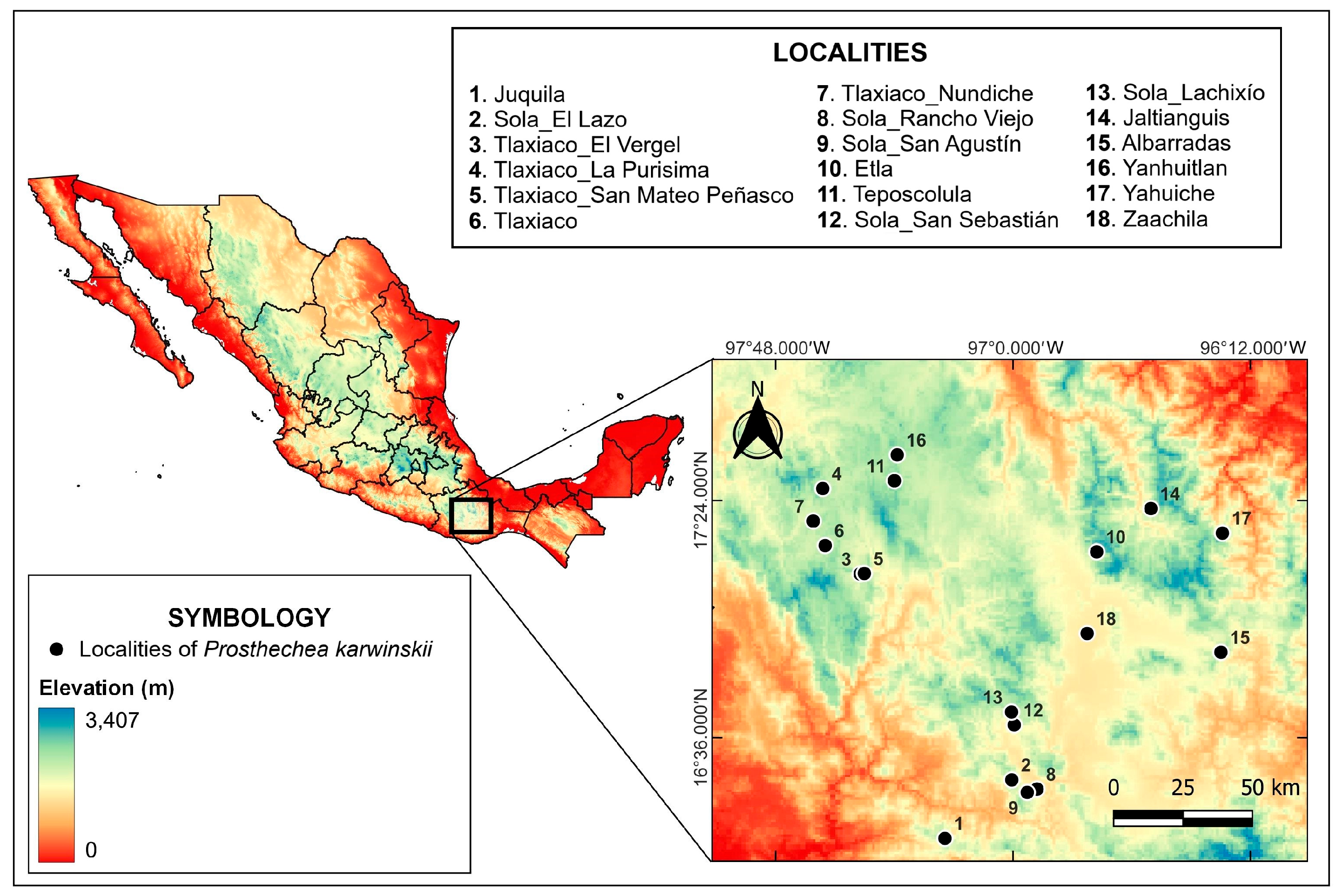 Plants 13 01984 g005 Plants 13 01984 g005