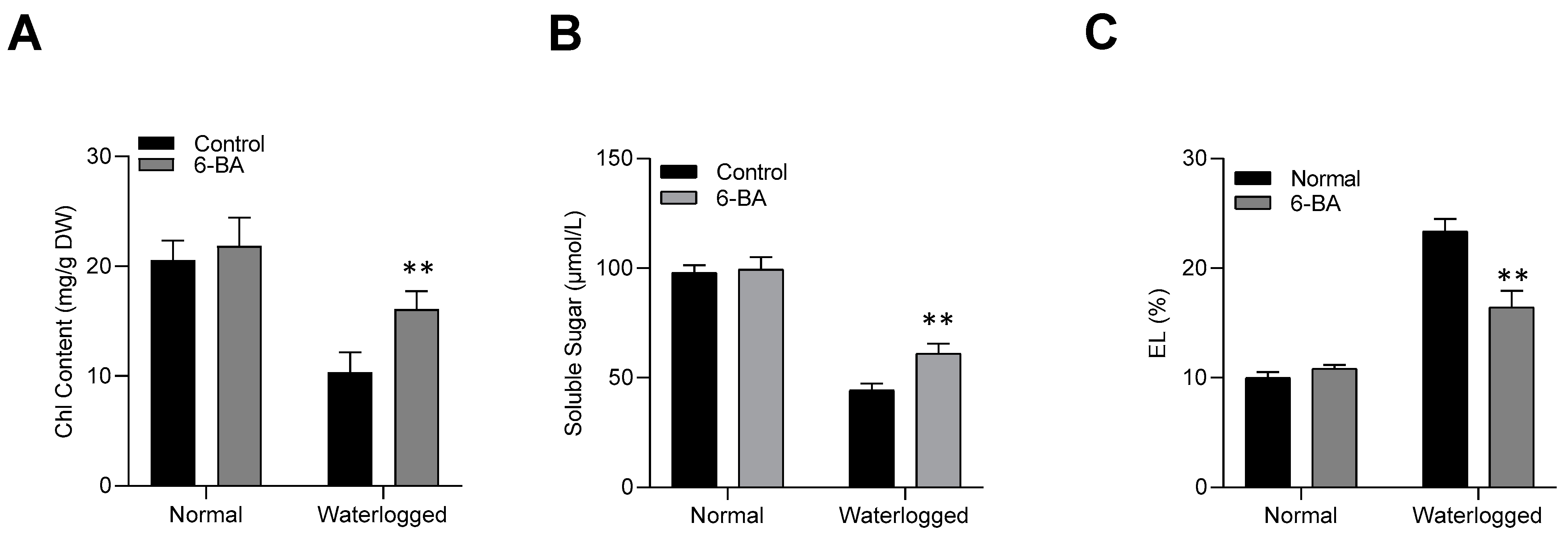 Plants 13 01991 g002