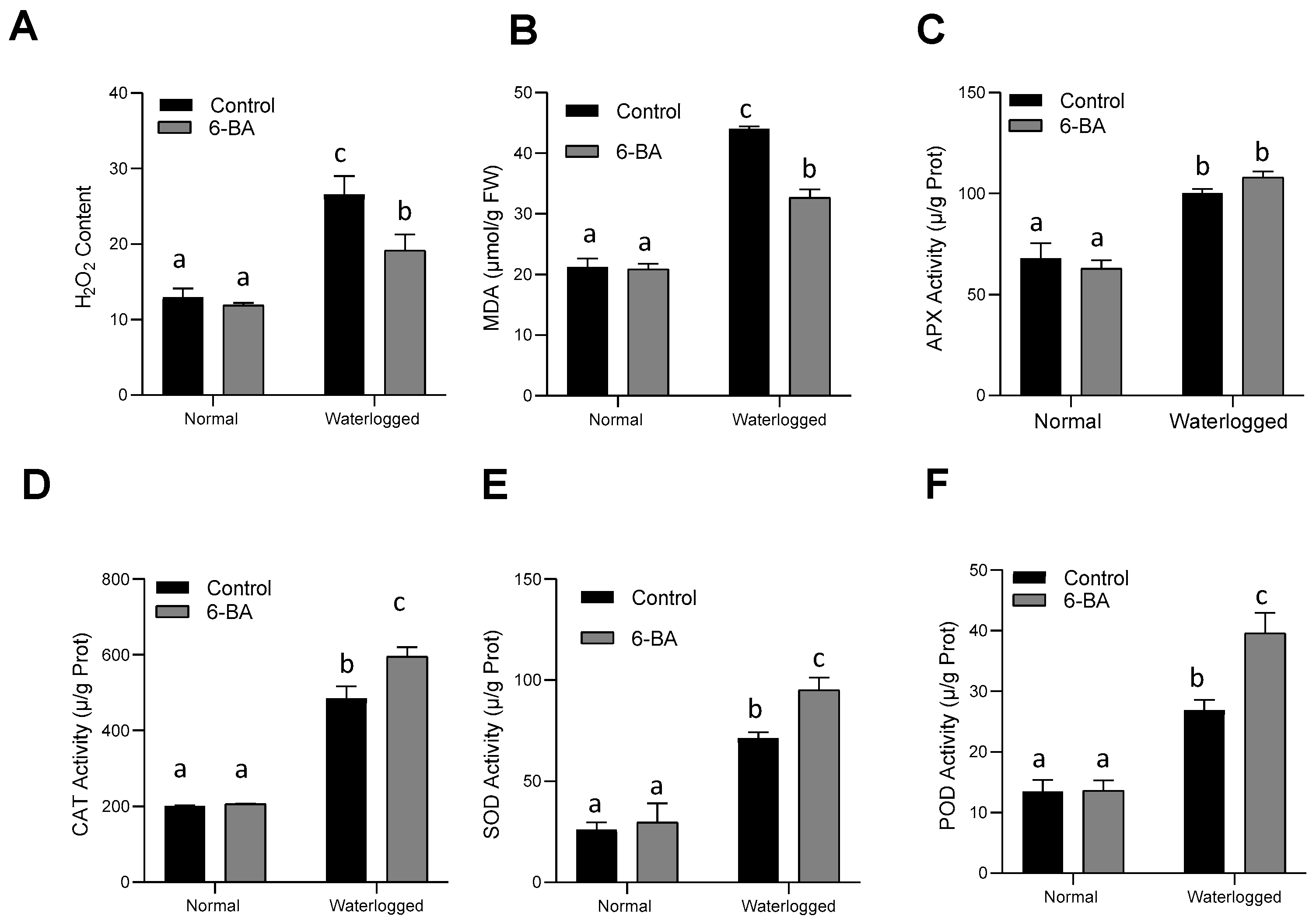 Plants 13 01991 g003