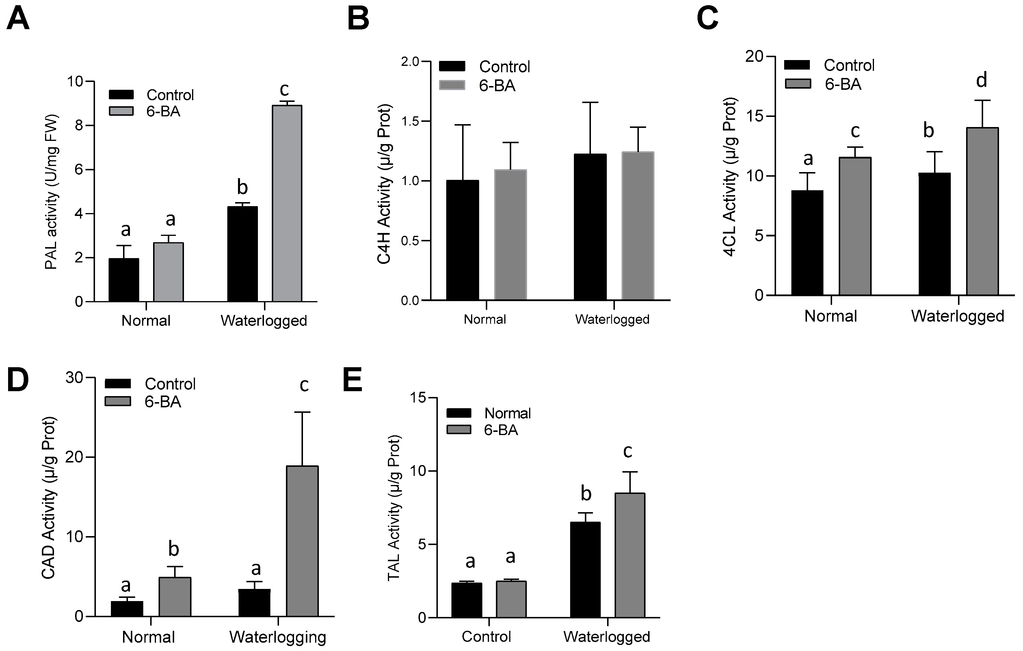 Plants 13 01991 g006