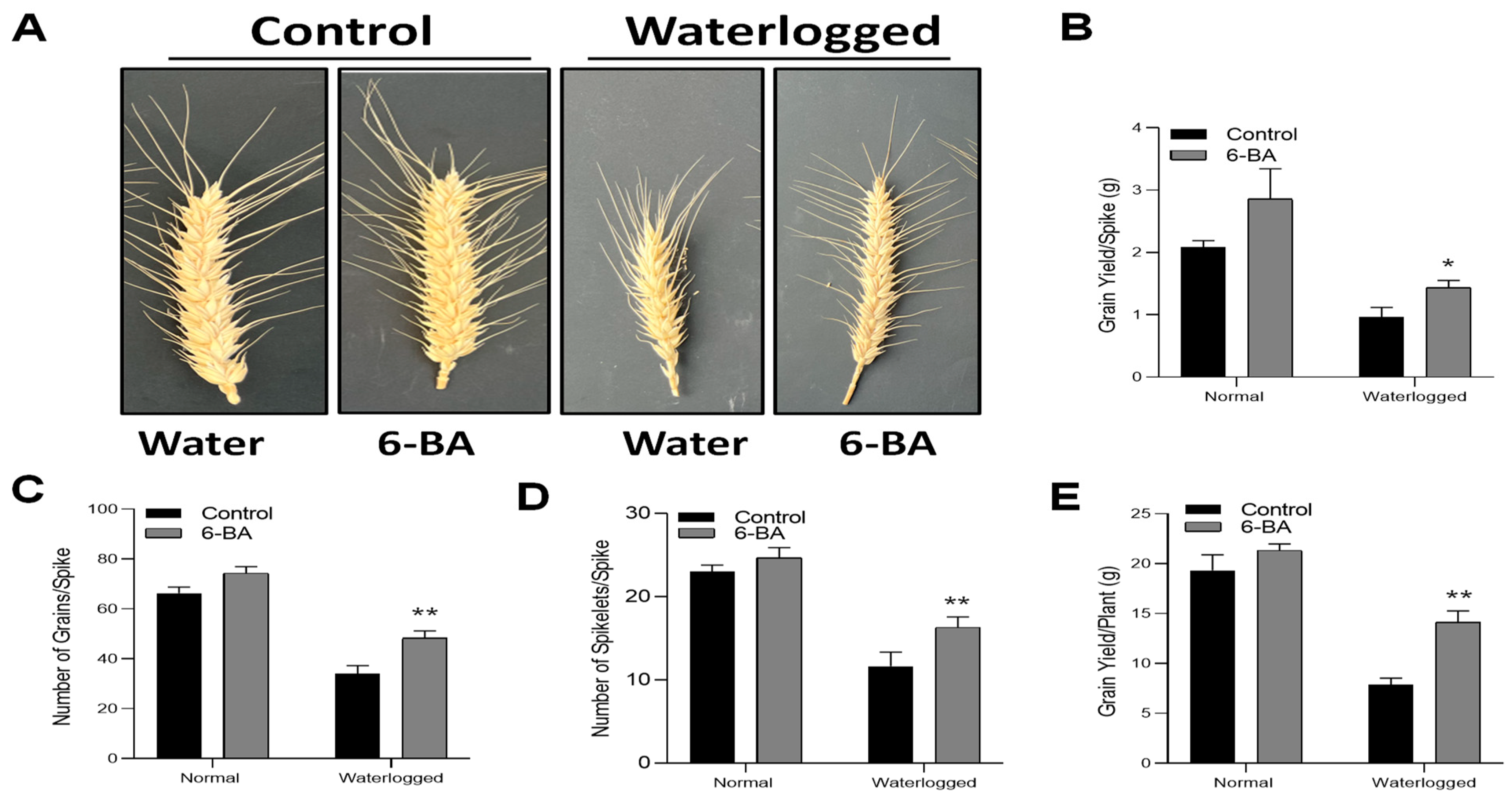 Plants 13 01991 g009