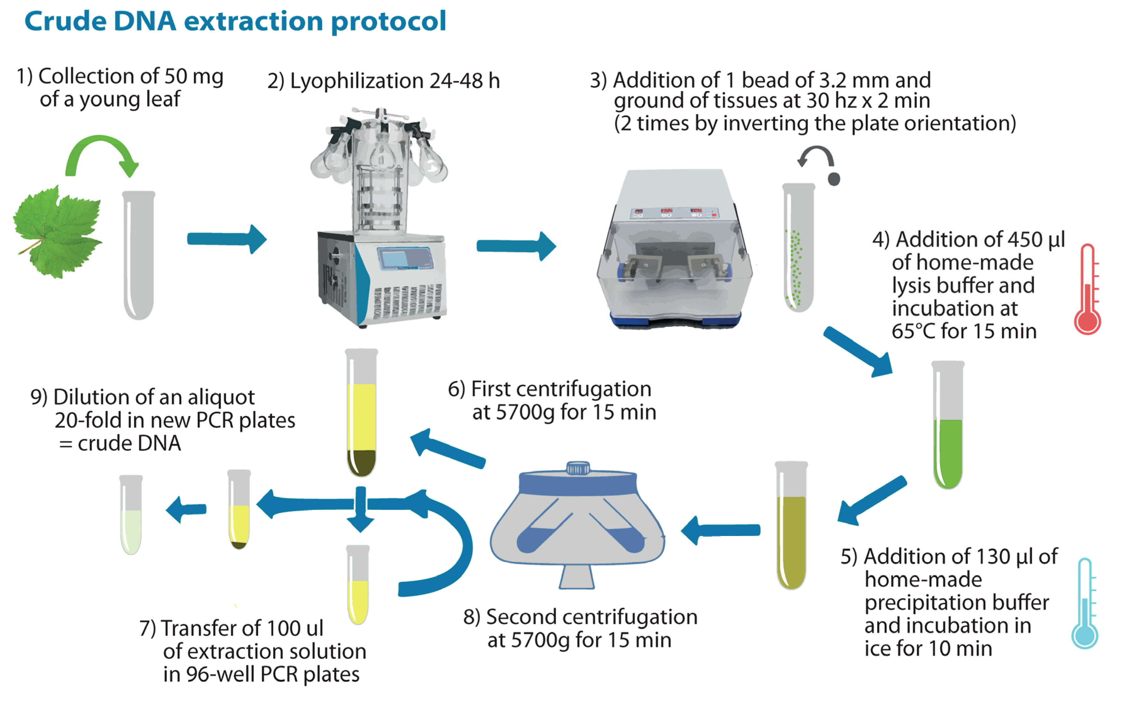 Plants 13 02001 g004