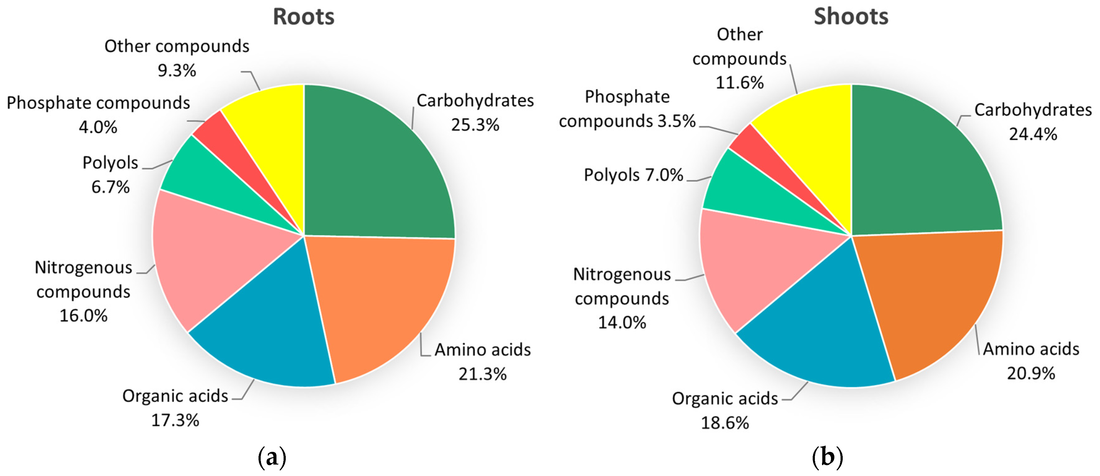 Plants 13 02005 g001
