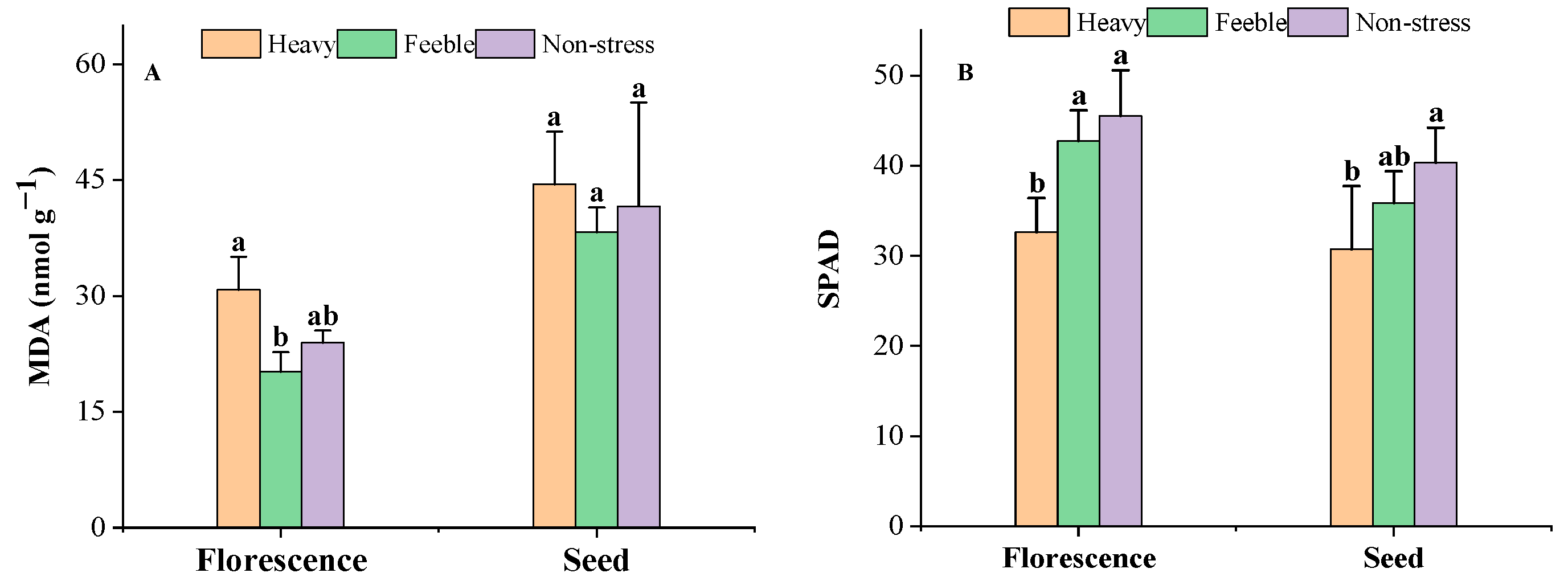 Plants 13 02006 g001