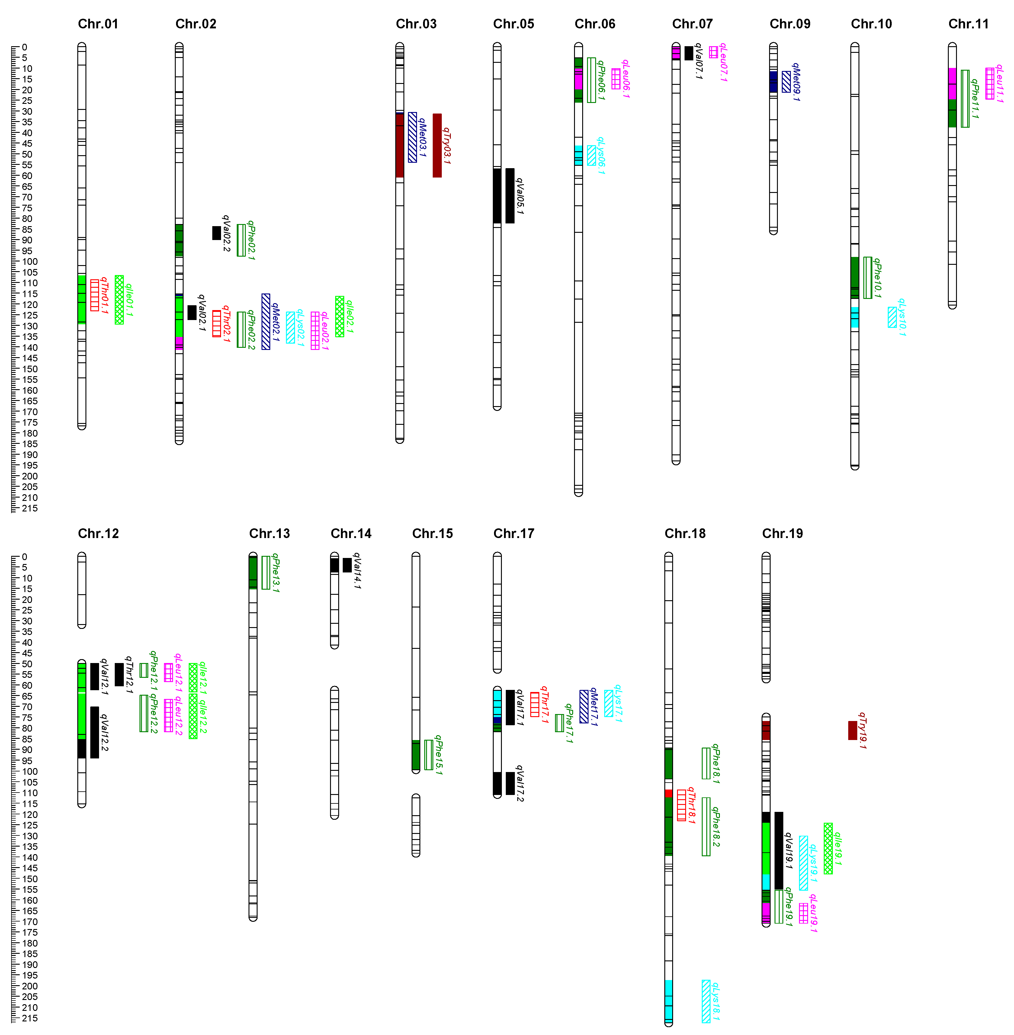 Plants 13 02020 g004
