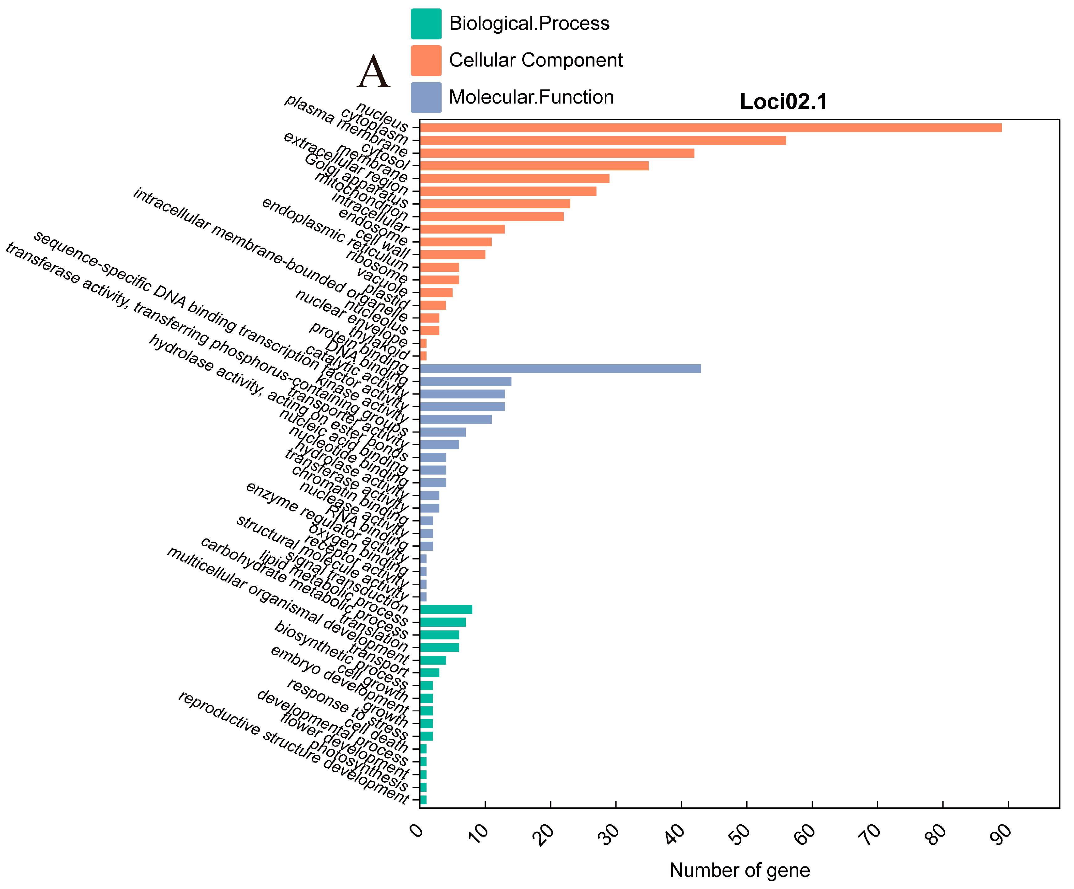 Plants 13 02020 g005a