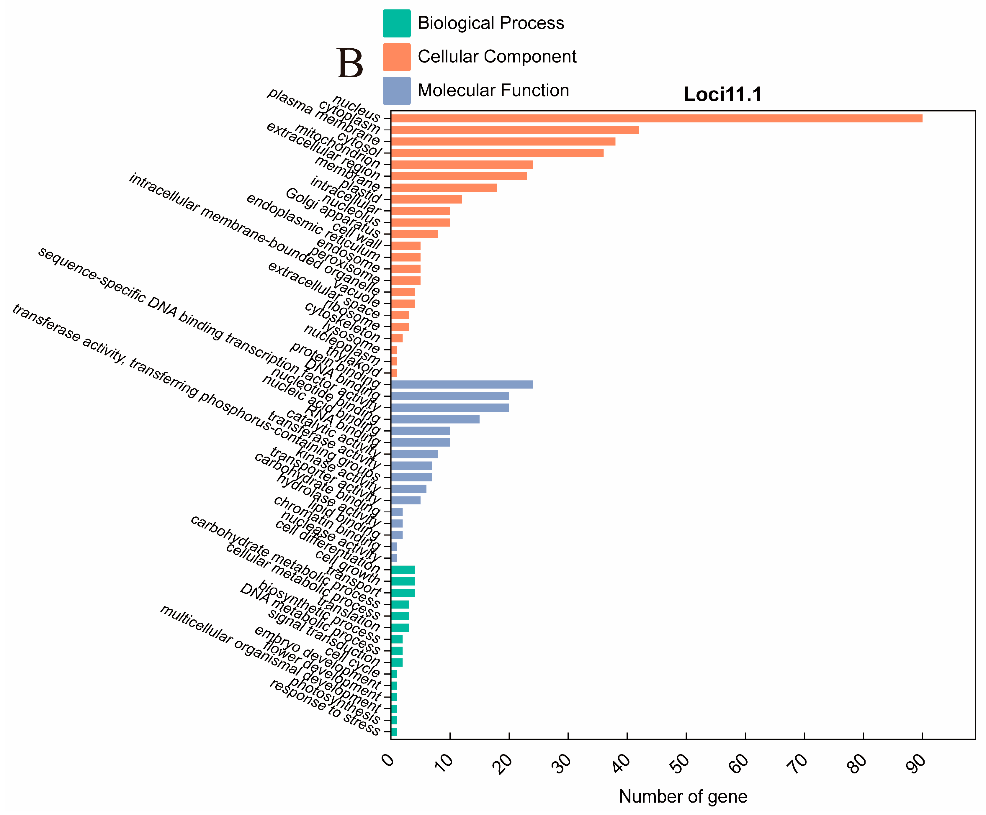 Plants 13 02020 g005b