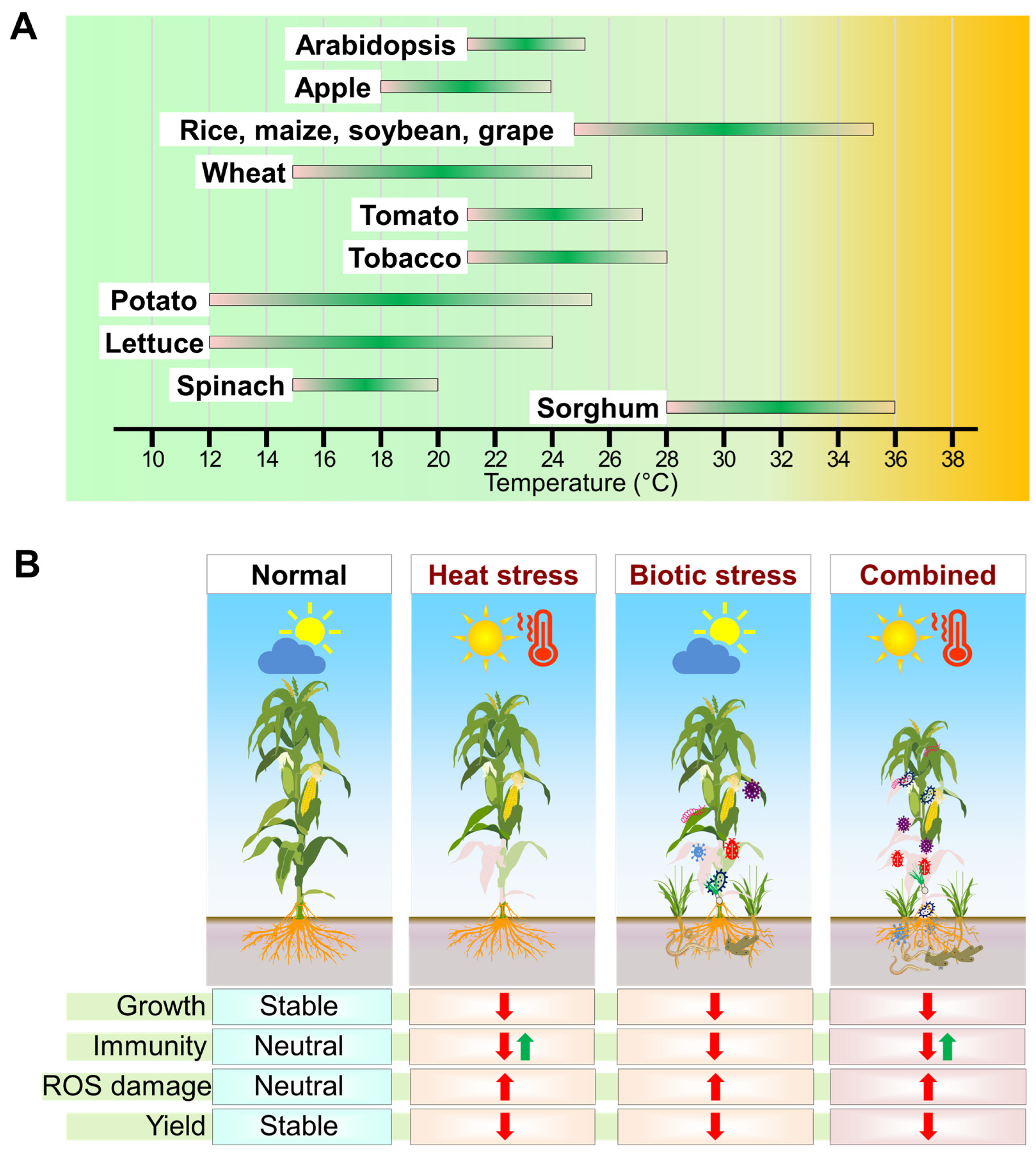 Plants 13 02022 g001
