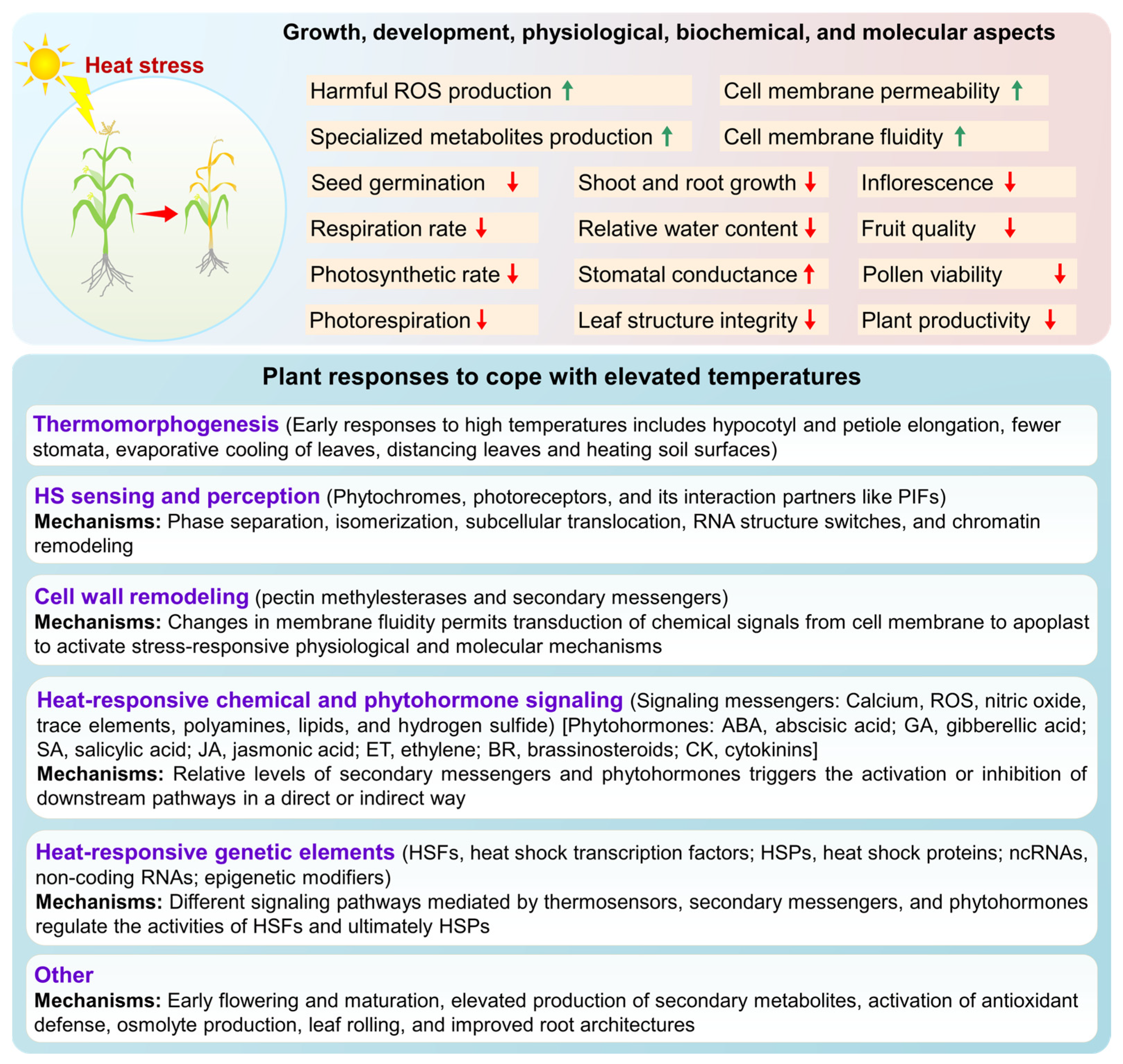 Plants 13 02022 g002