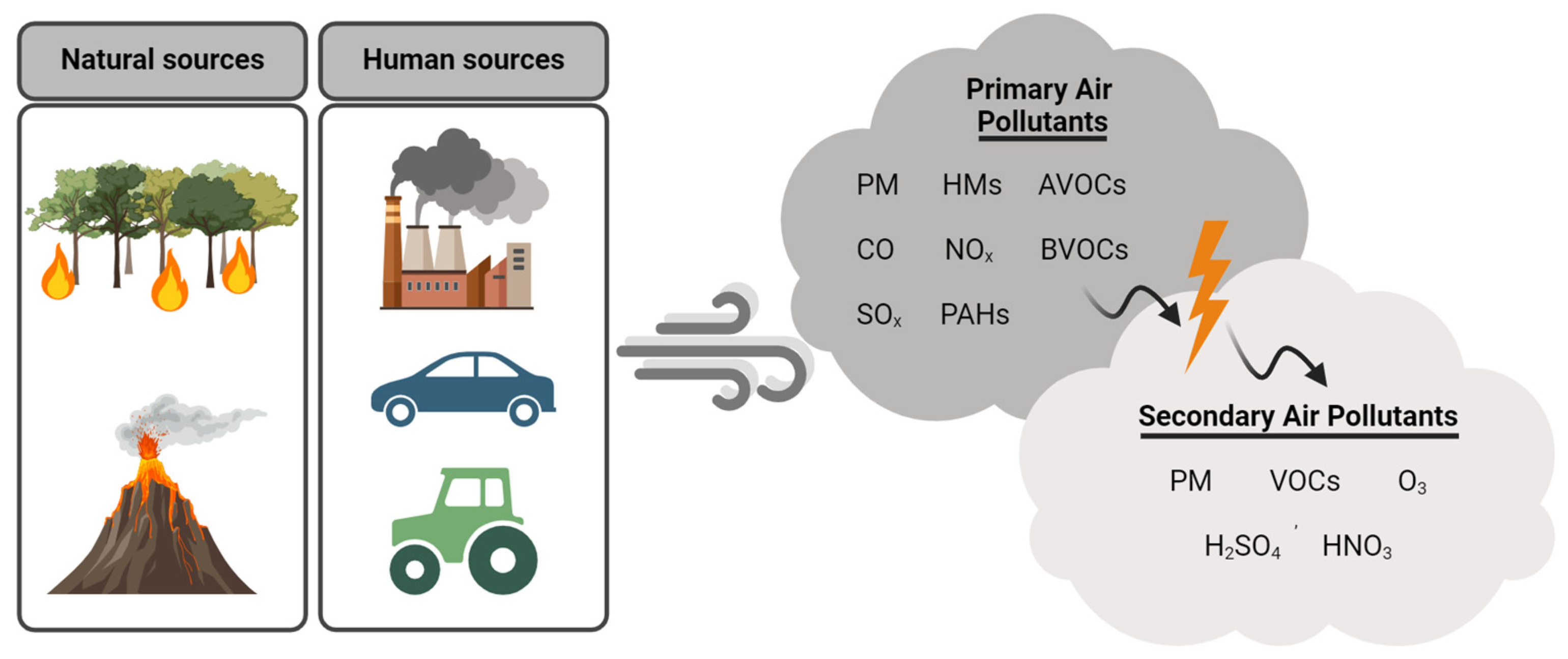 Plants 13 02027 g001