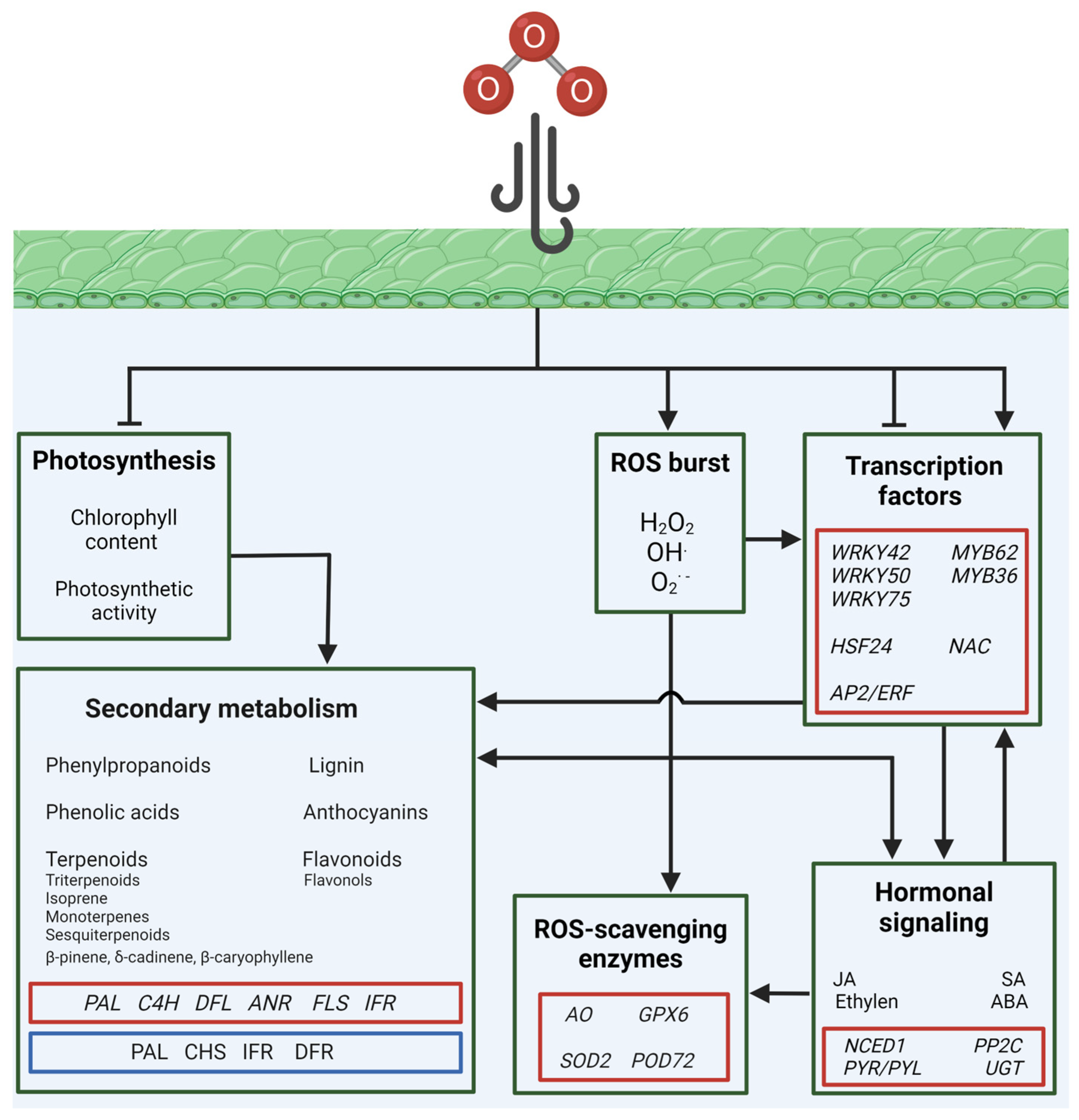 Plants 13 02027 g002