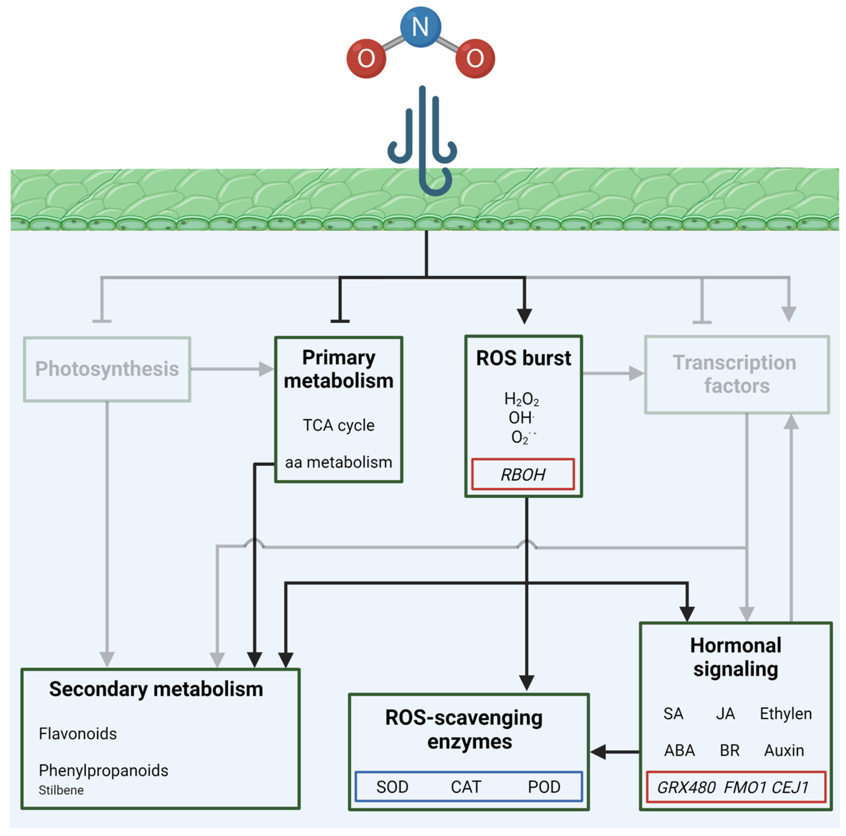 Plants 13 02027 g003
