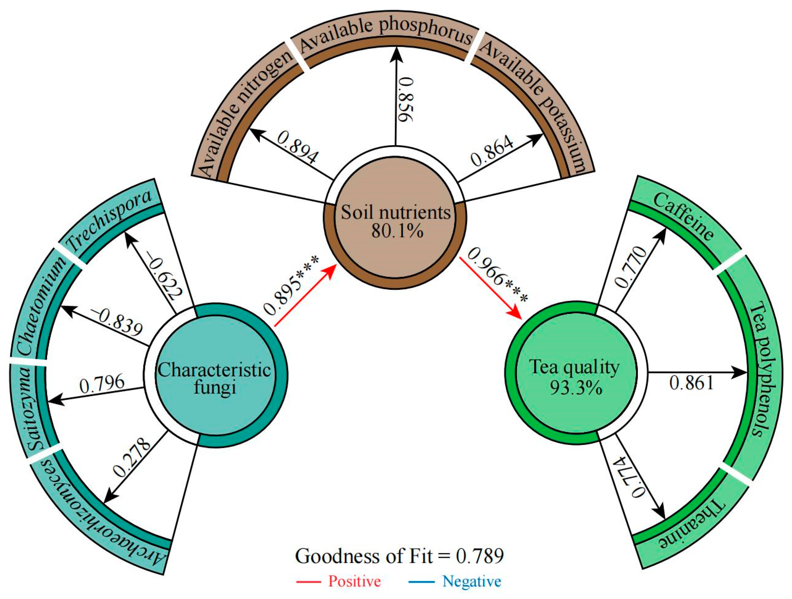 Plants 13 02029 g007