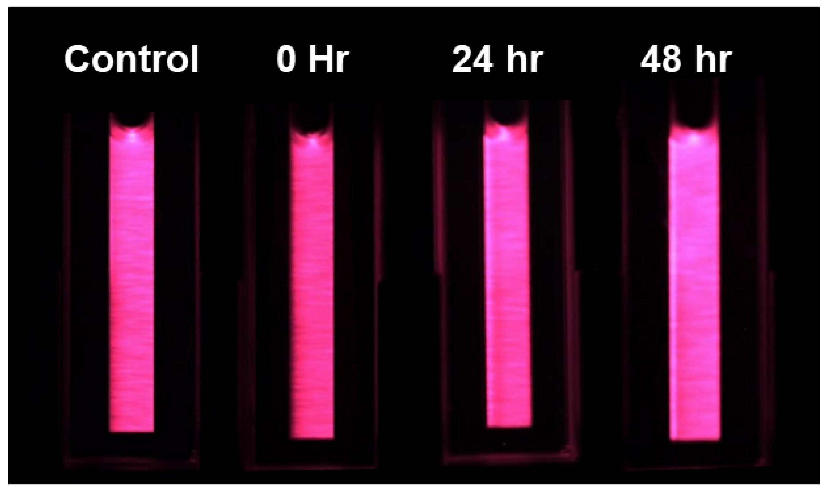 Plants 13 02031 g009 Plants 13 02031 g009