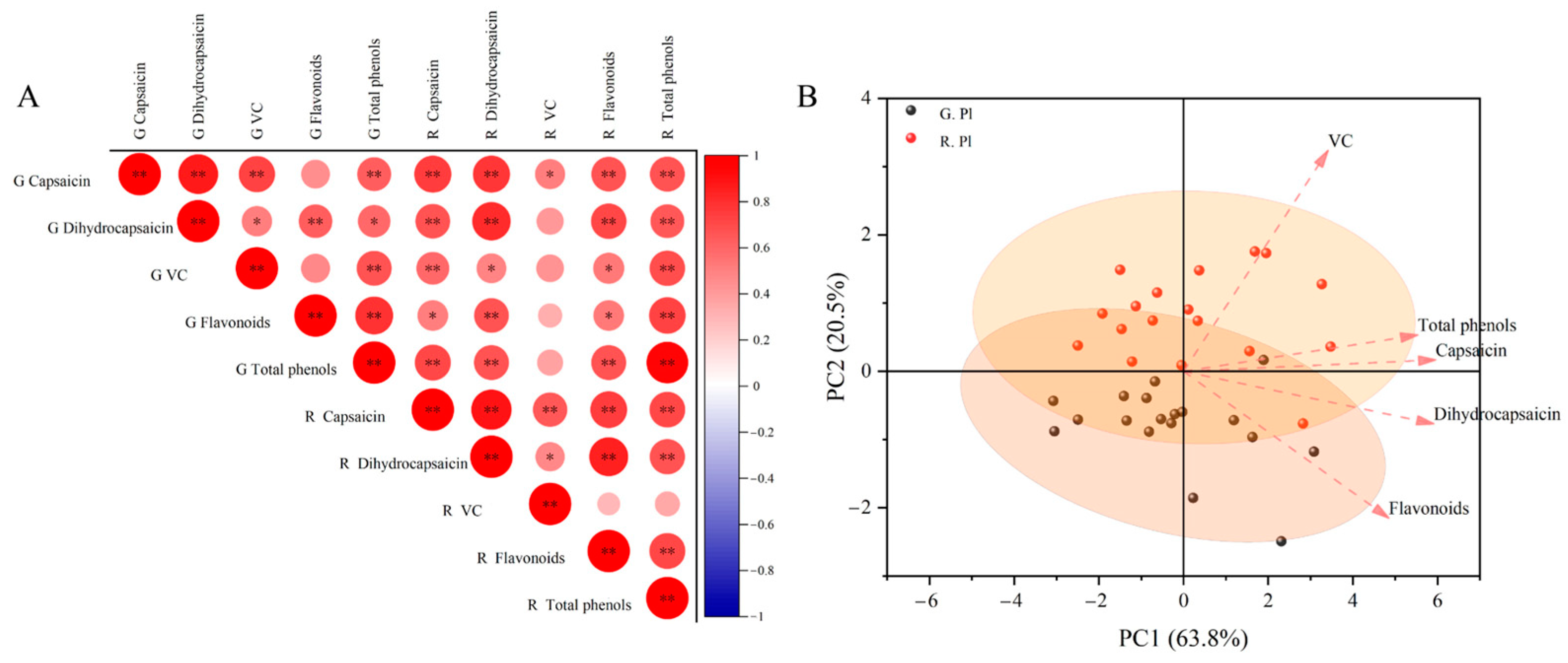 Plants 13 02038 g004