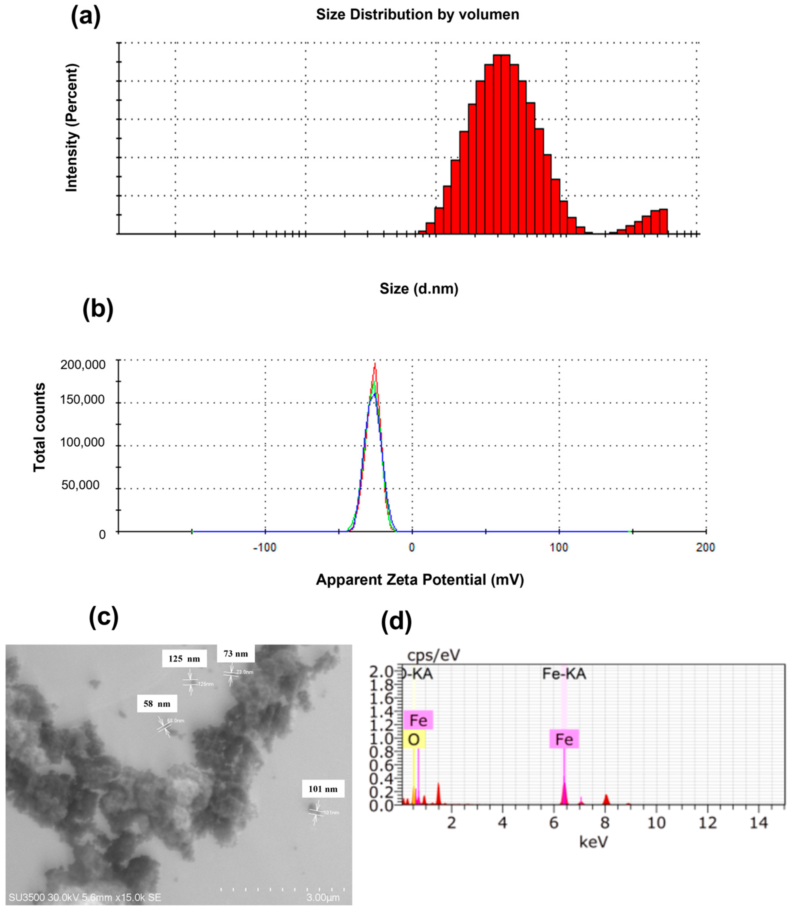 Plants 13 02042 g002