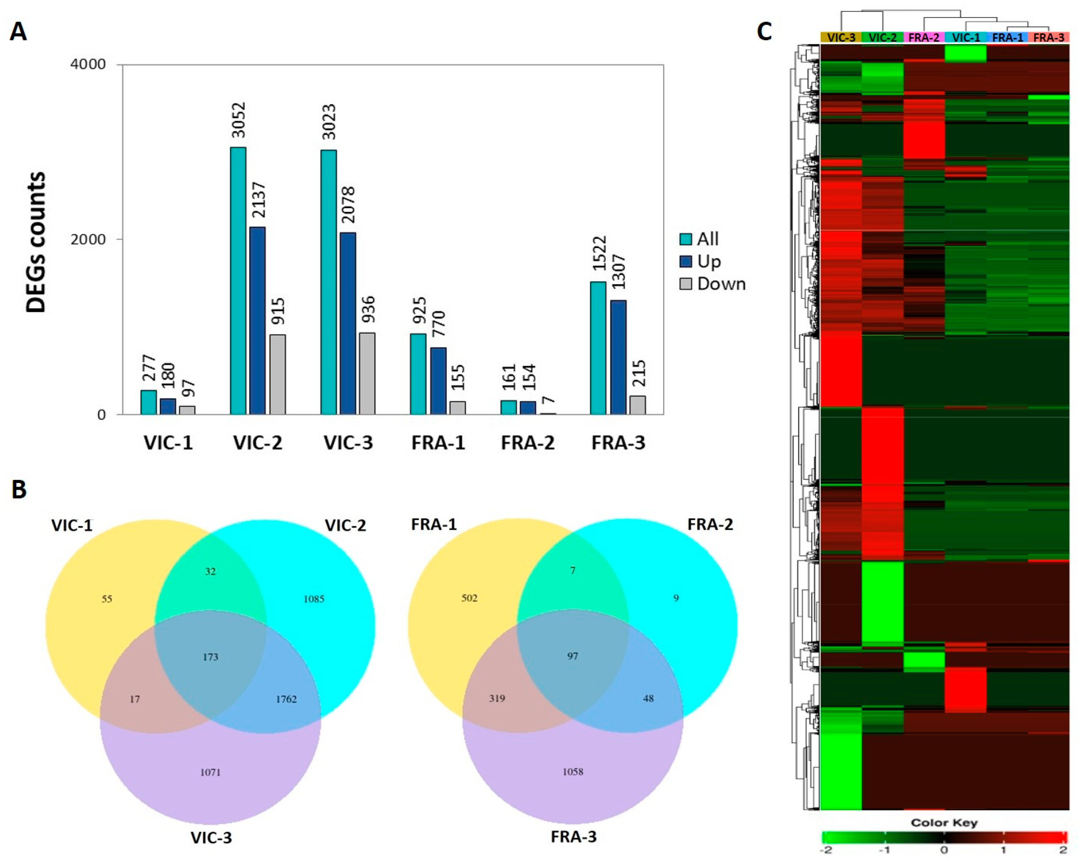 Plants 13 02043 g002