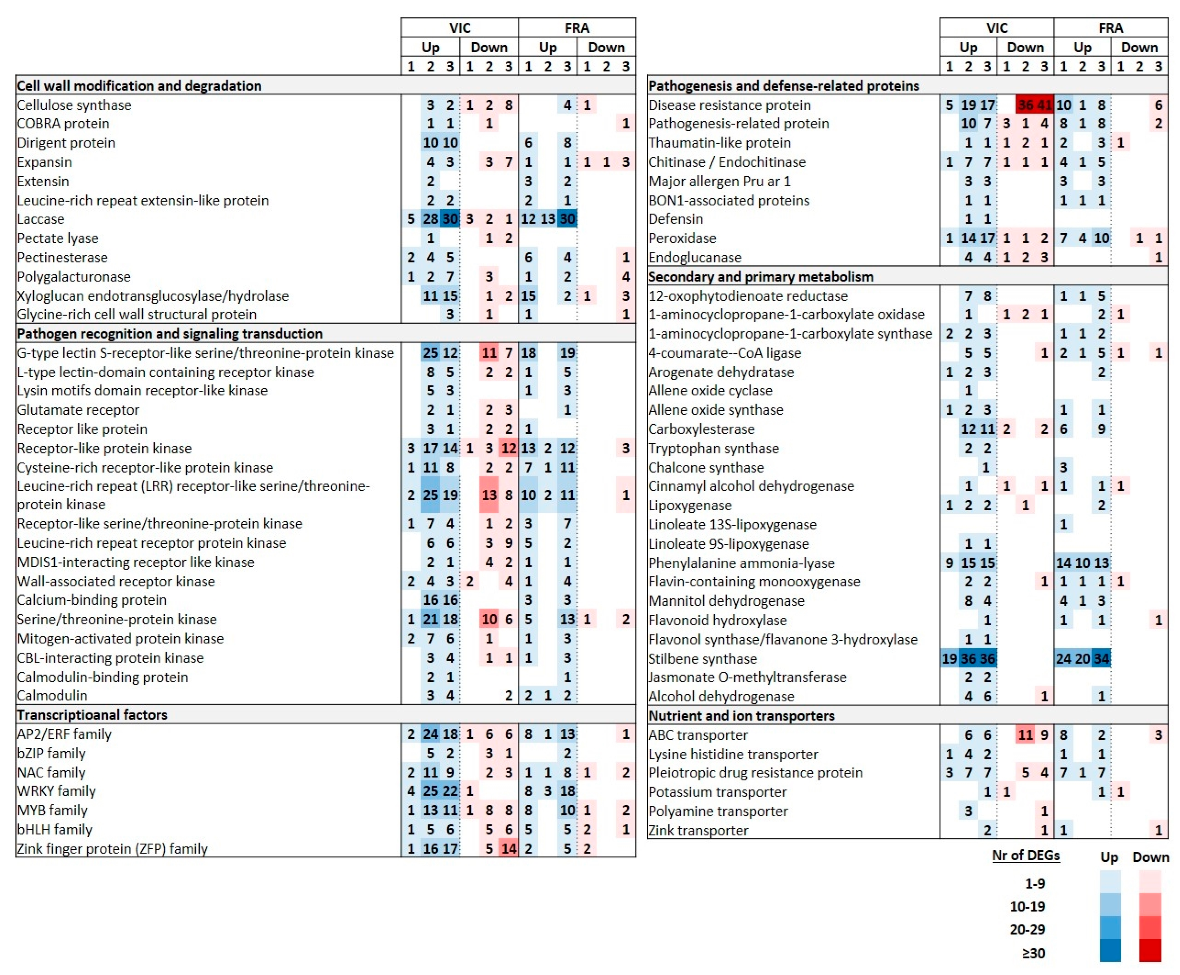 Plants 13 02043 g004