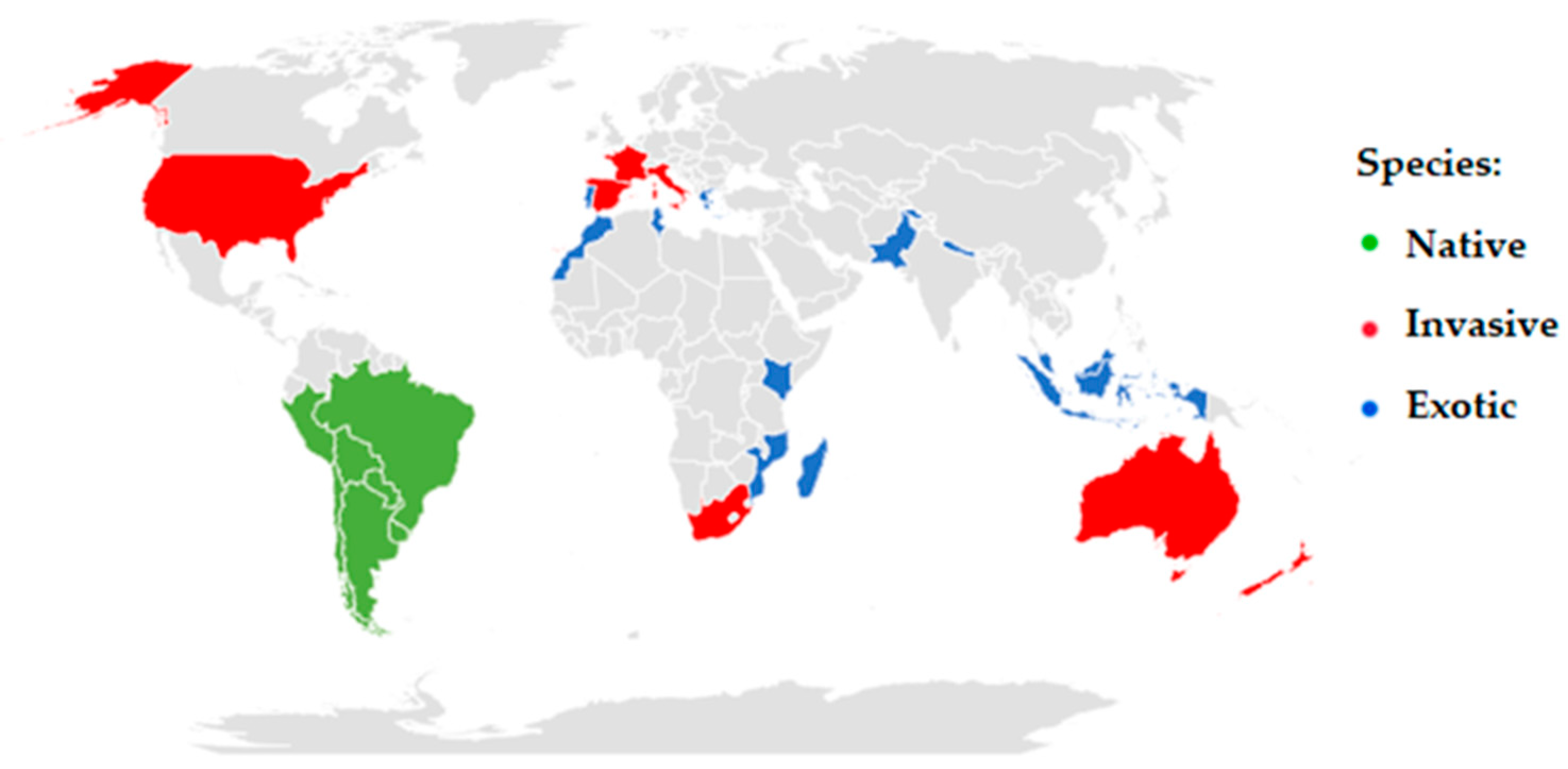 Plants 13 02044 g002