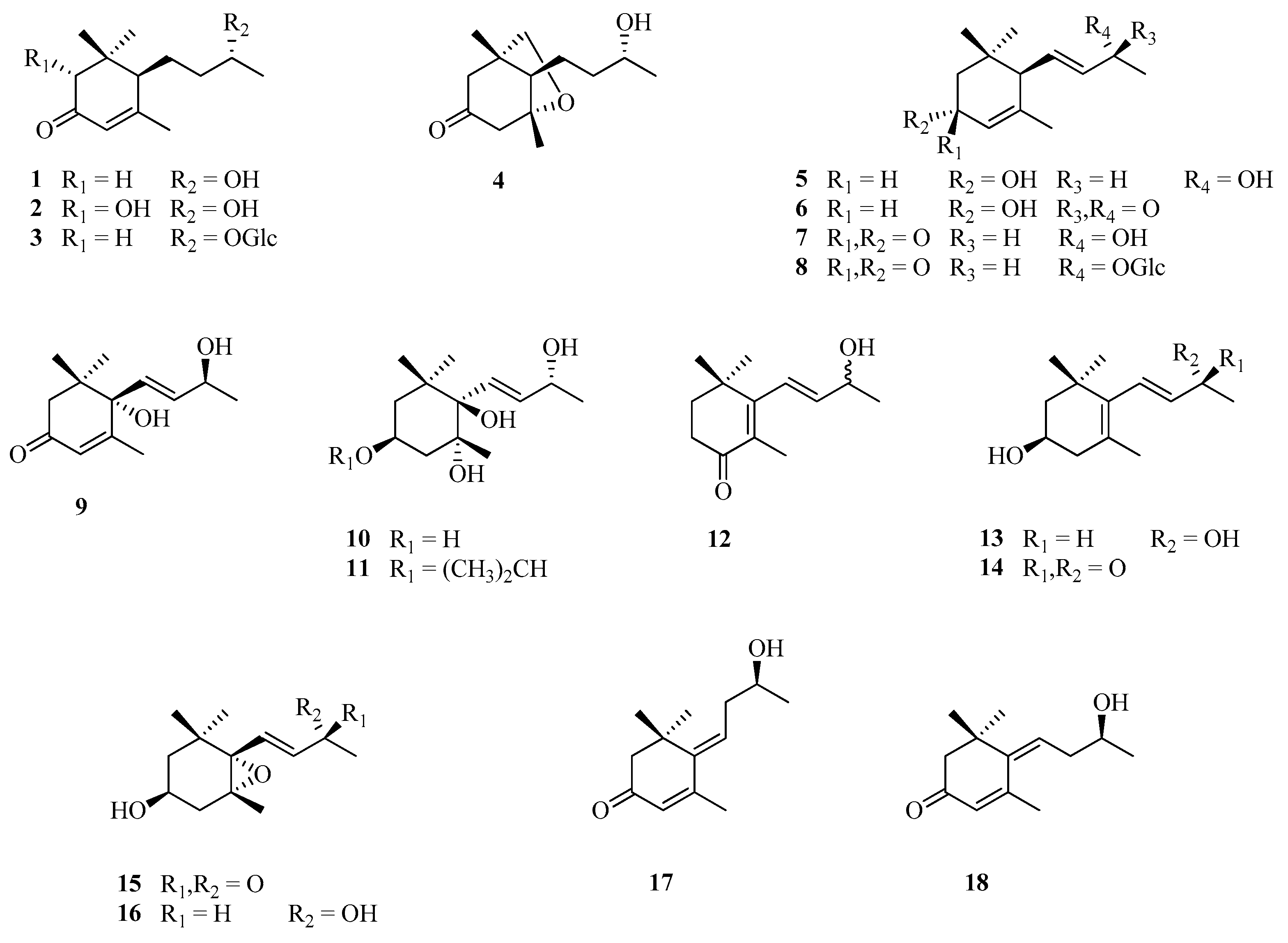 Plants 13 02044 g003